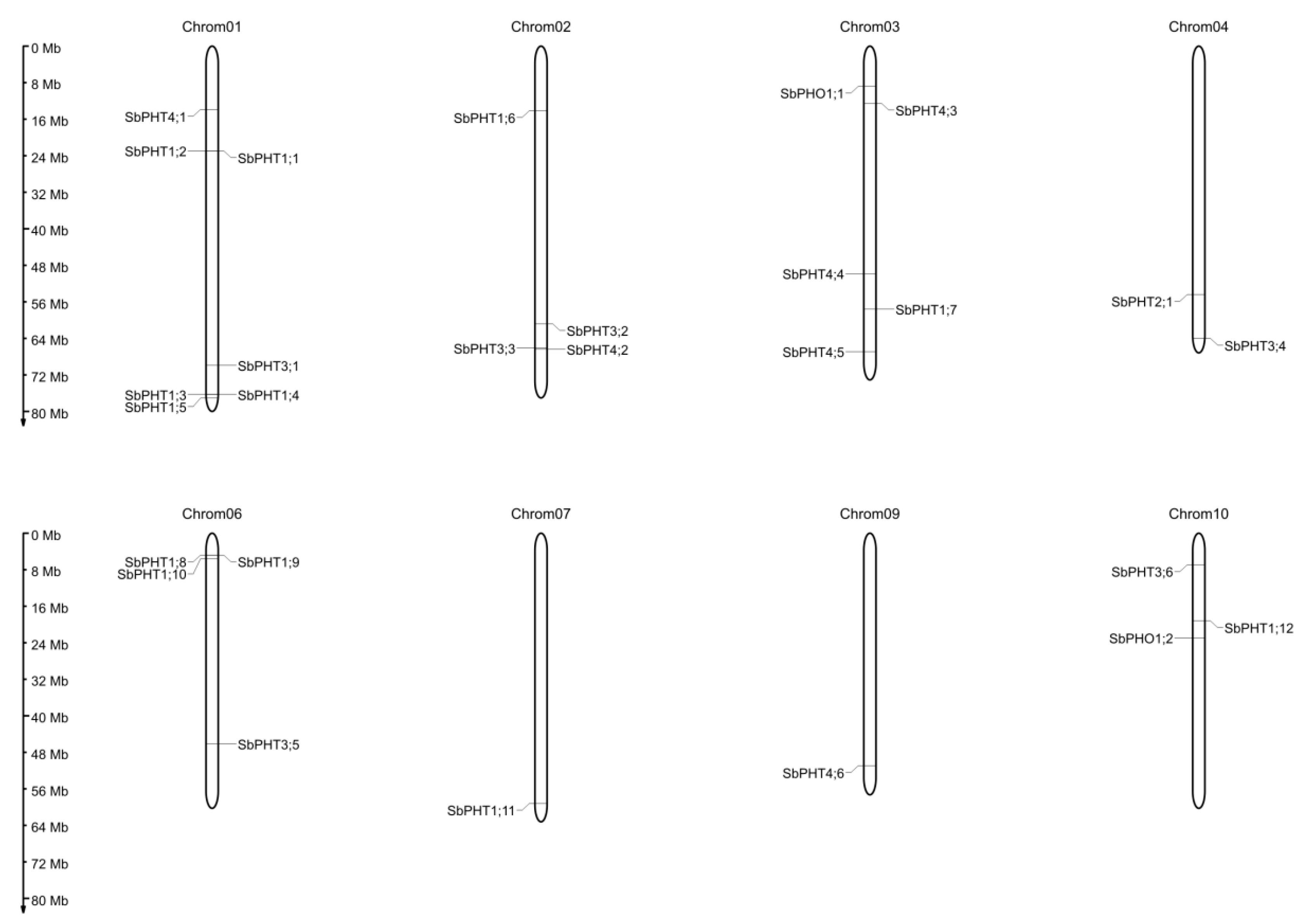 Biomolecules 09 00670 g002 Biomolecules 09 00670 g002