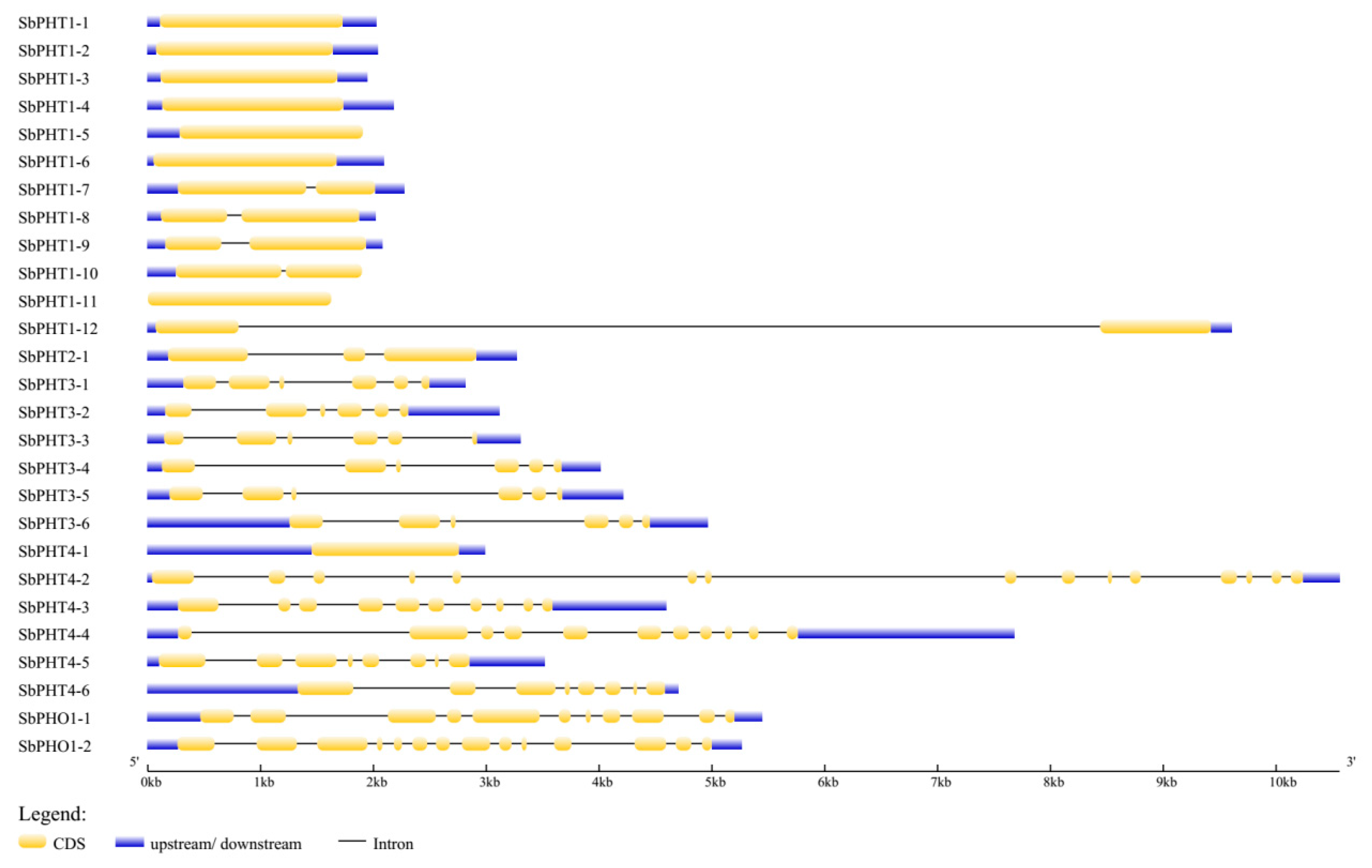 Biomolecules 09 00670 g003 Biomolecules 09 00670 g003