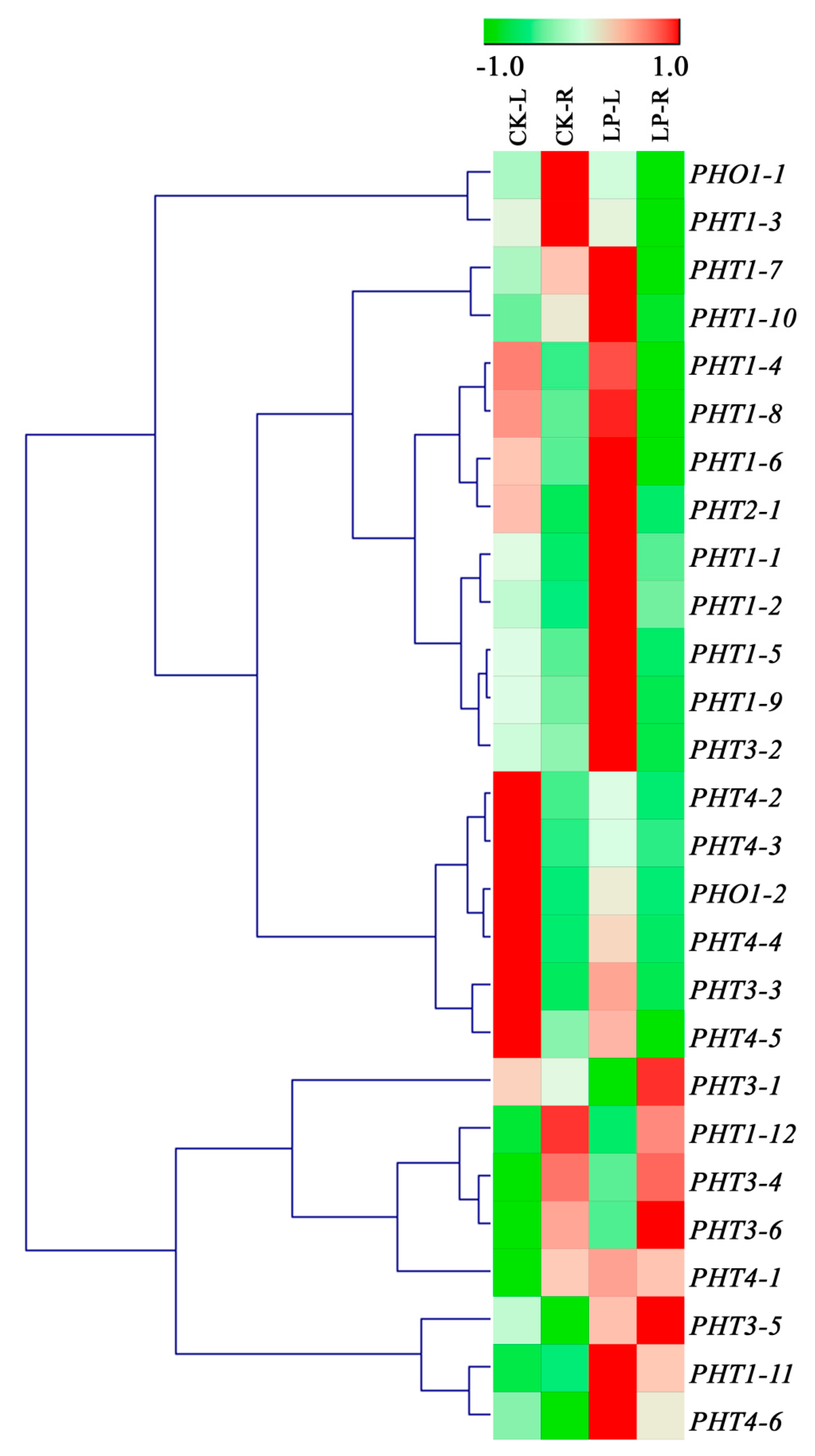 Biomolecules 09 00670 g005 Biomolecules 09 00670 g005