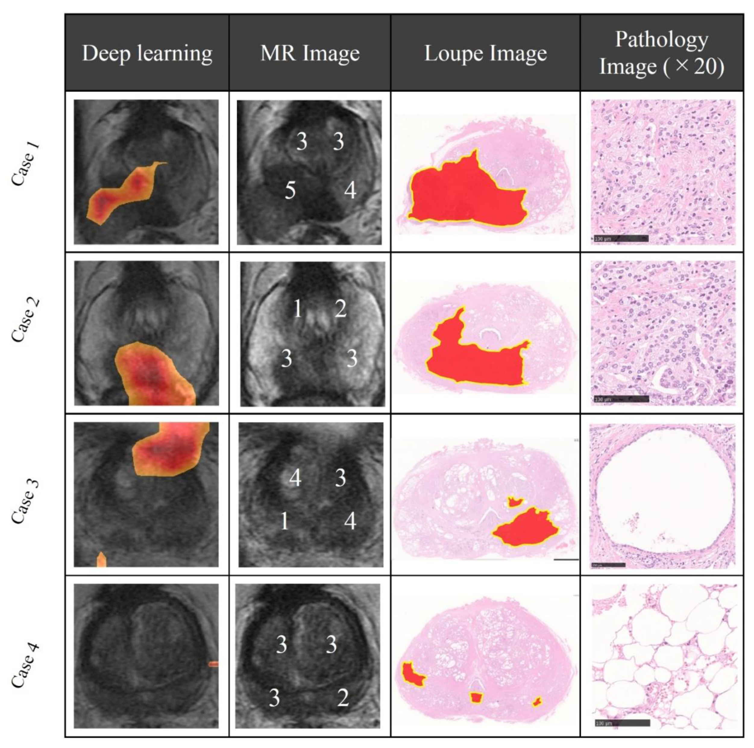 Biomolecules 09 00673 g004