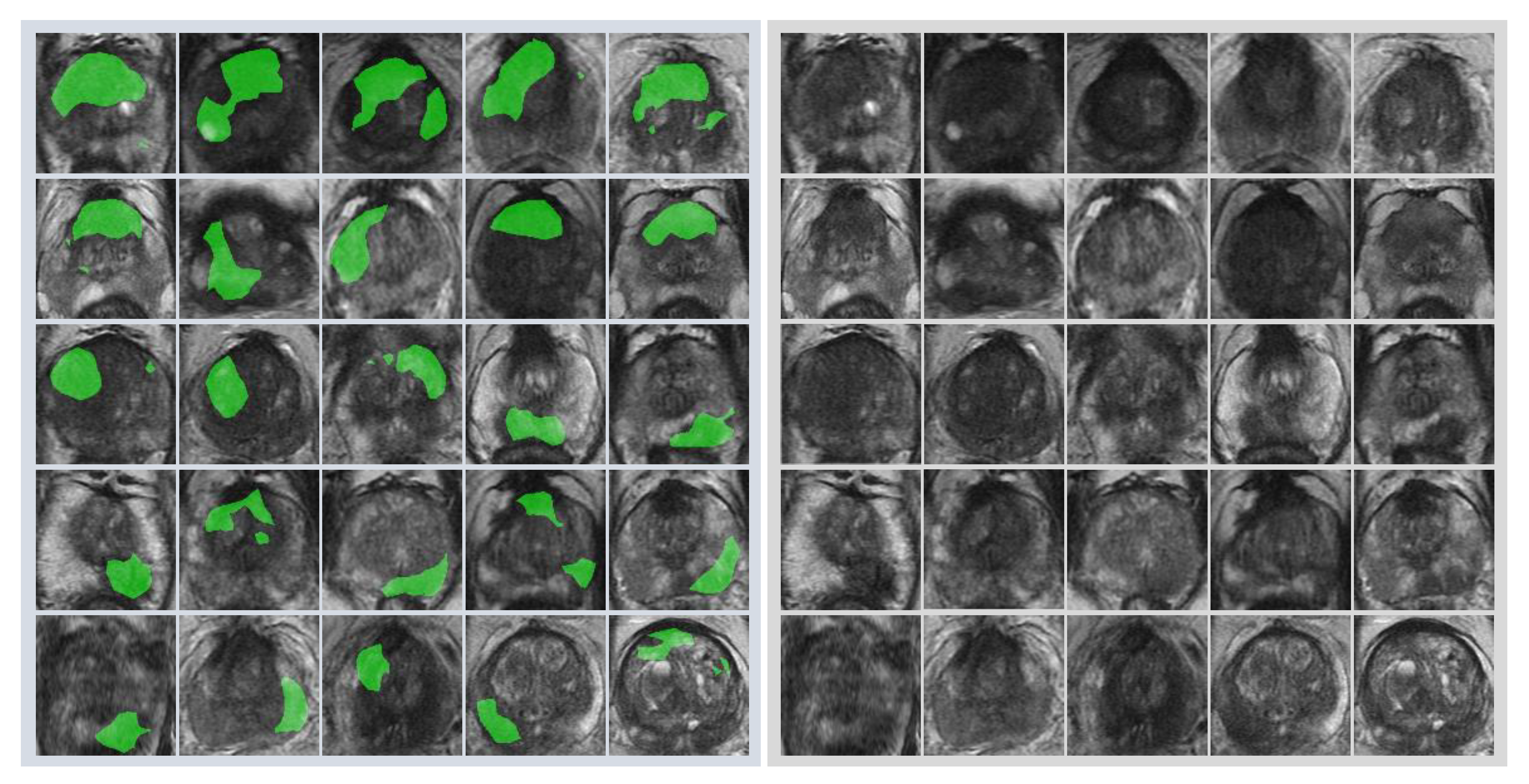 Biomolecules 09 00673 g005