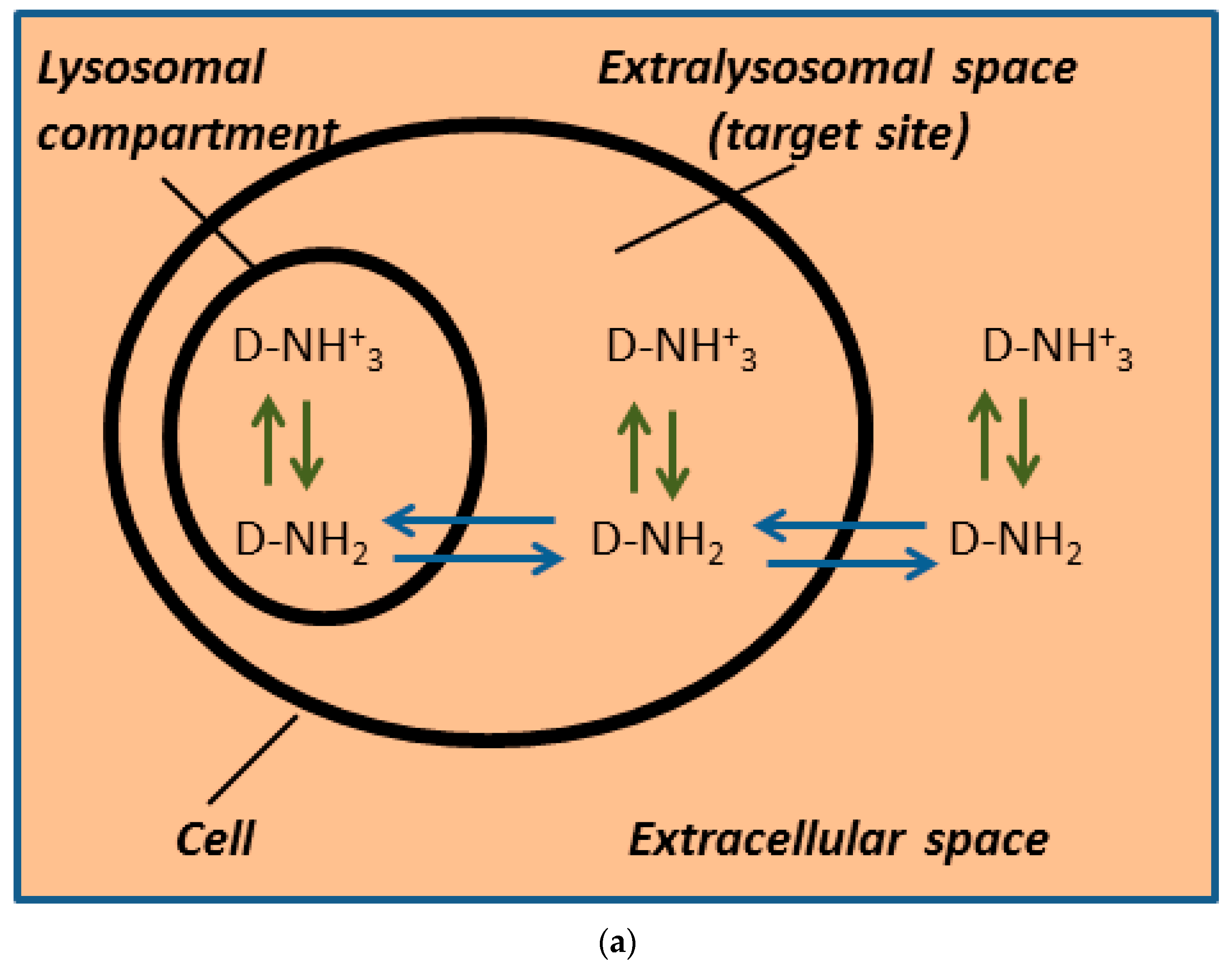 Biomolecules 09 00675 g001a