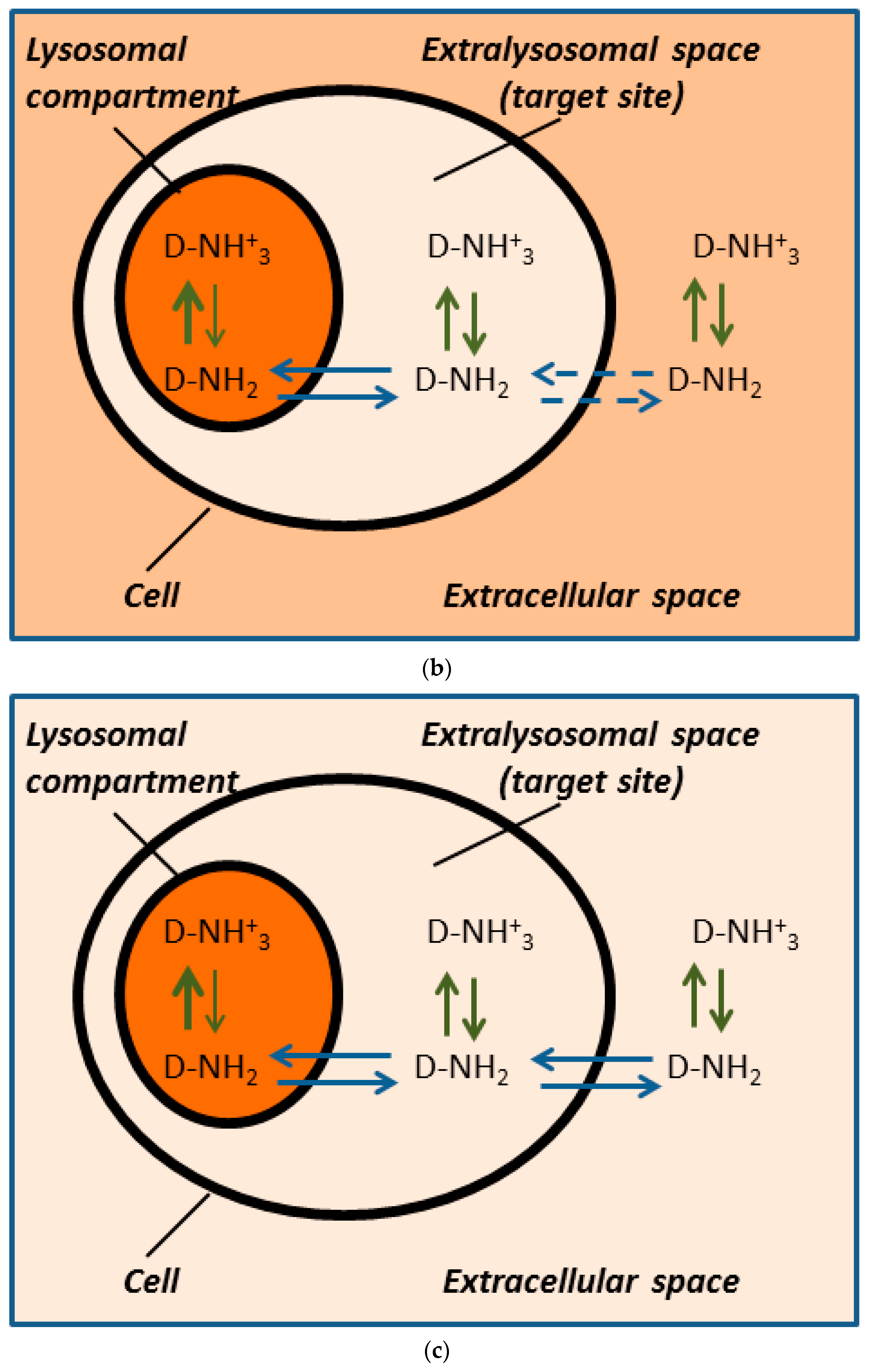 Biomolecules 09 00675 g001b