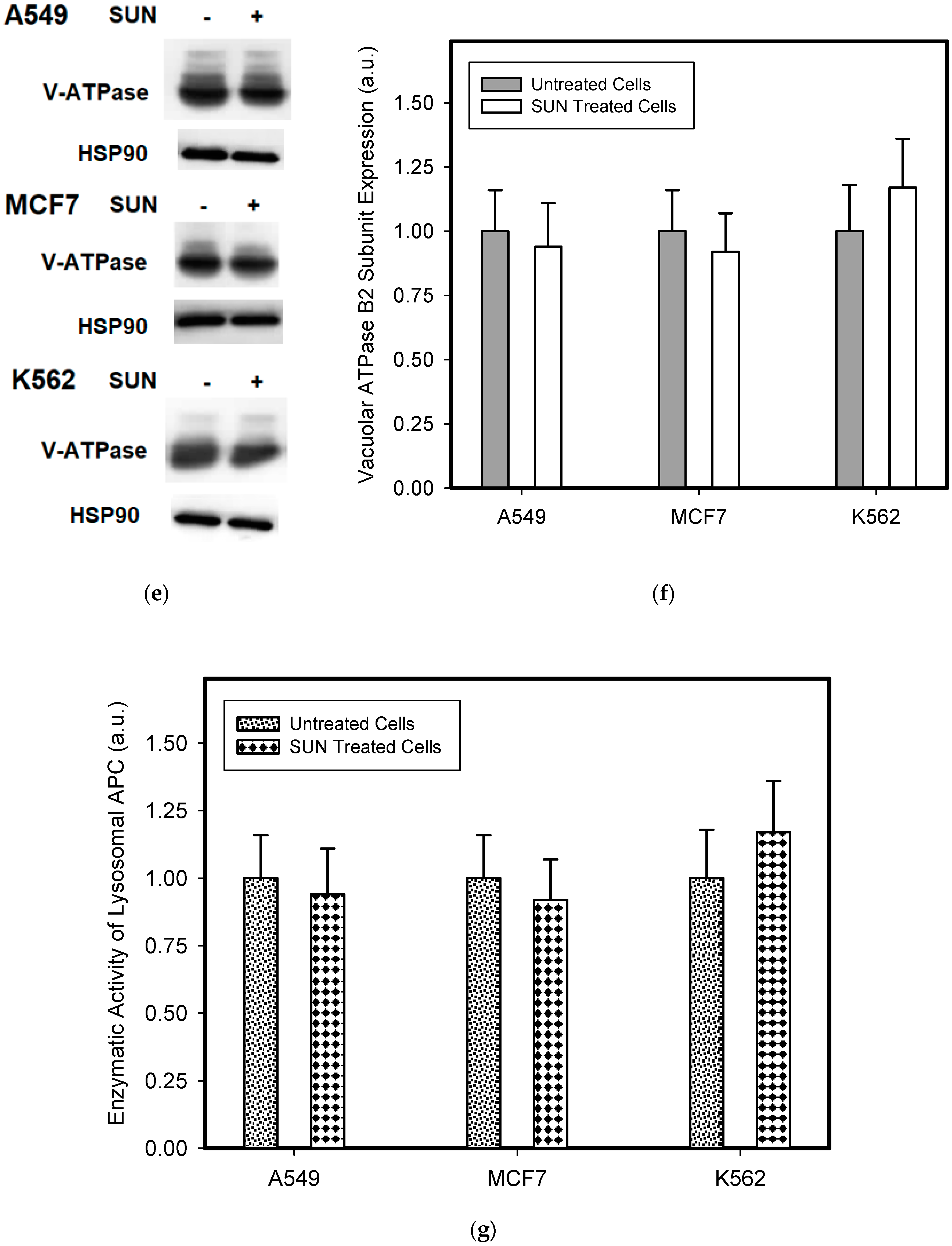 Biomolecules 09 00675 g007b