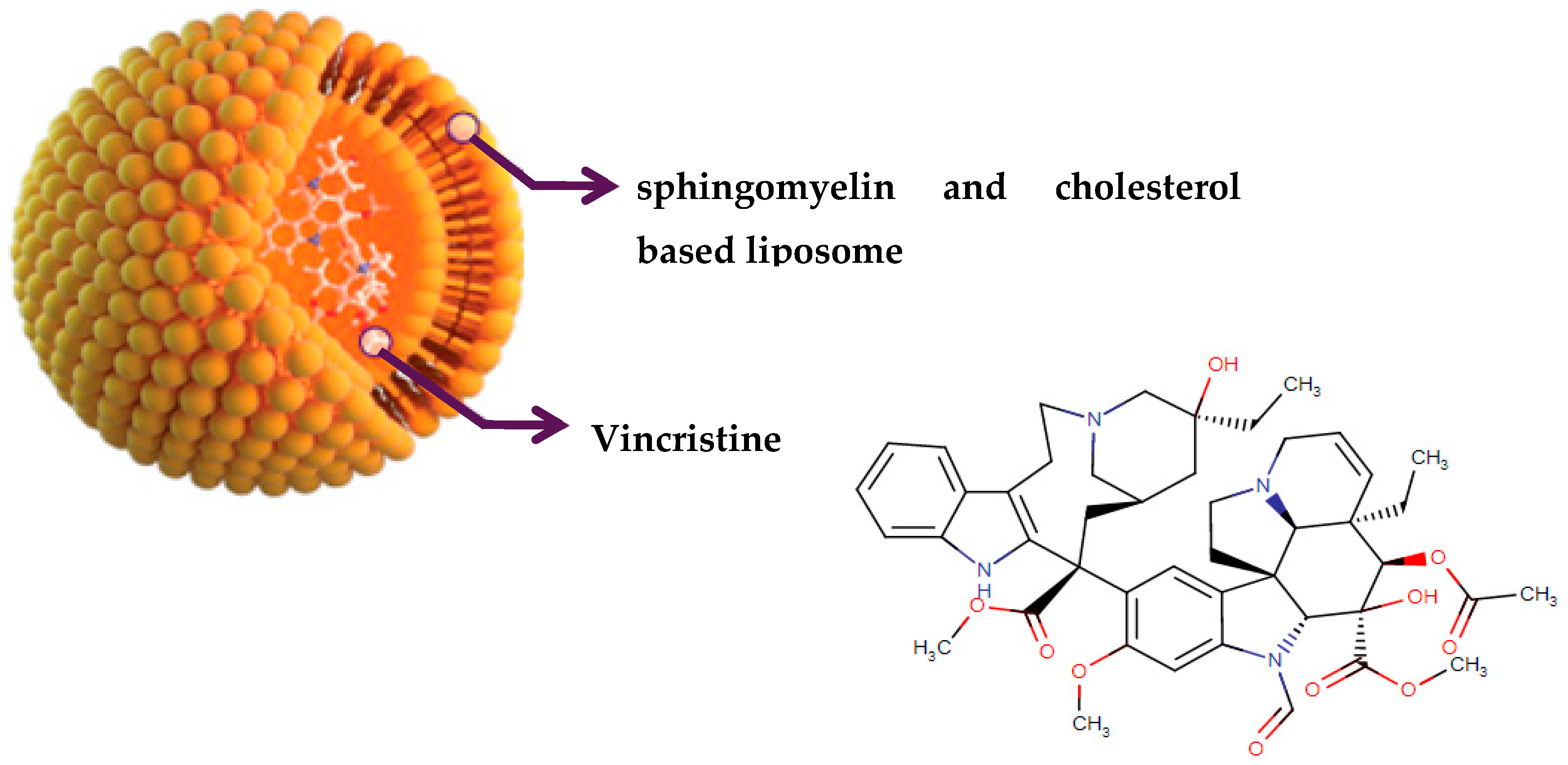 Biomolecules 09 00679 g004