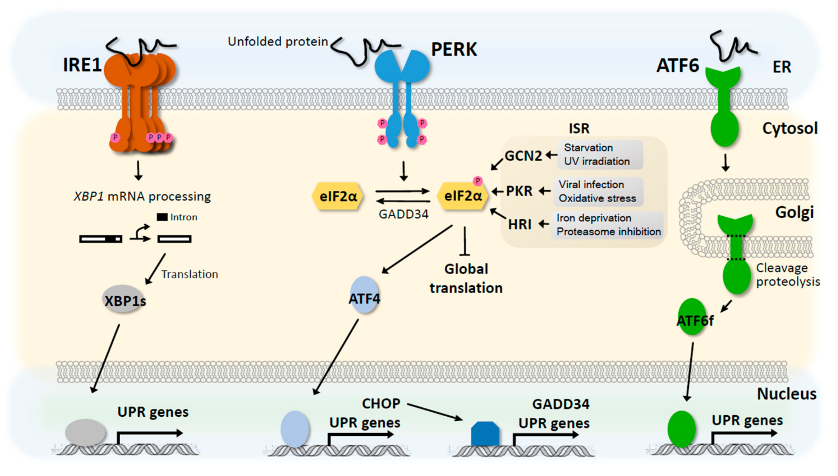 Biomolecules 09 00680 g002