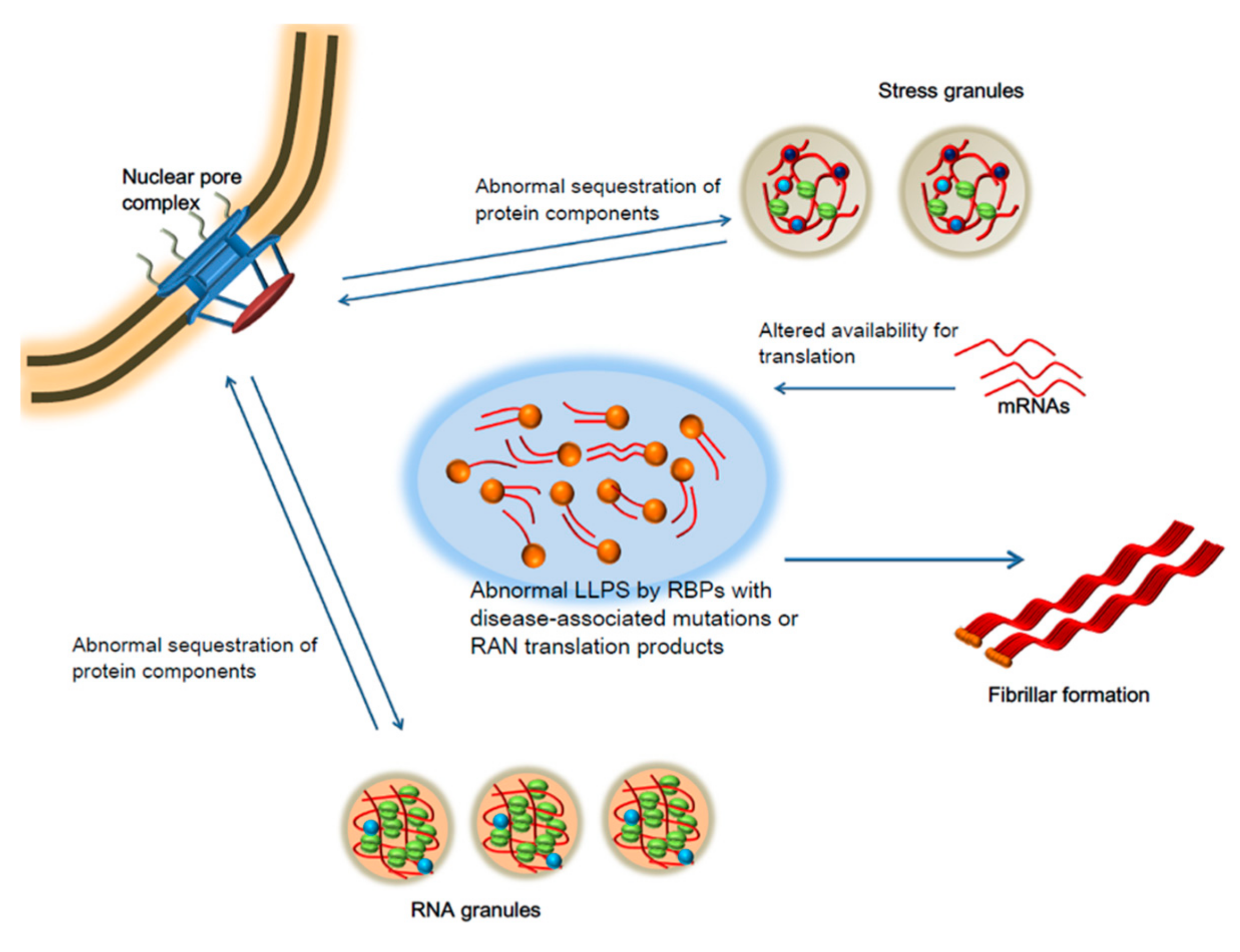 Biomolecules 09 00680 g004