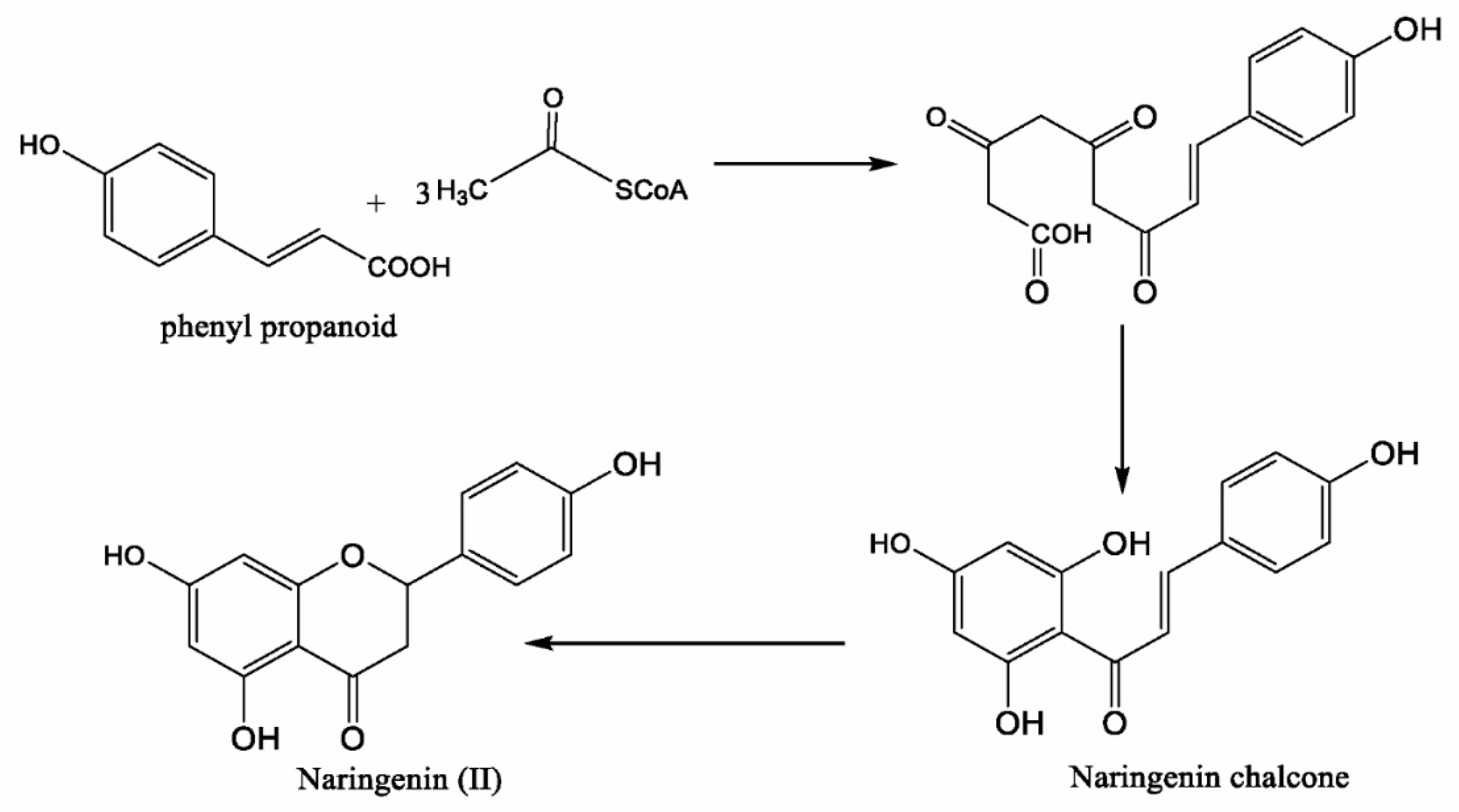 Biomolecules 09 00690 g002