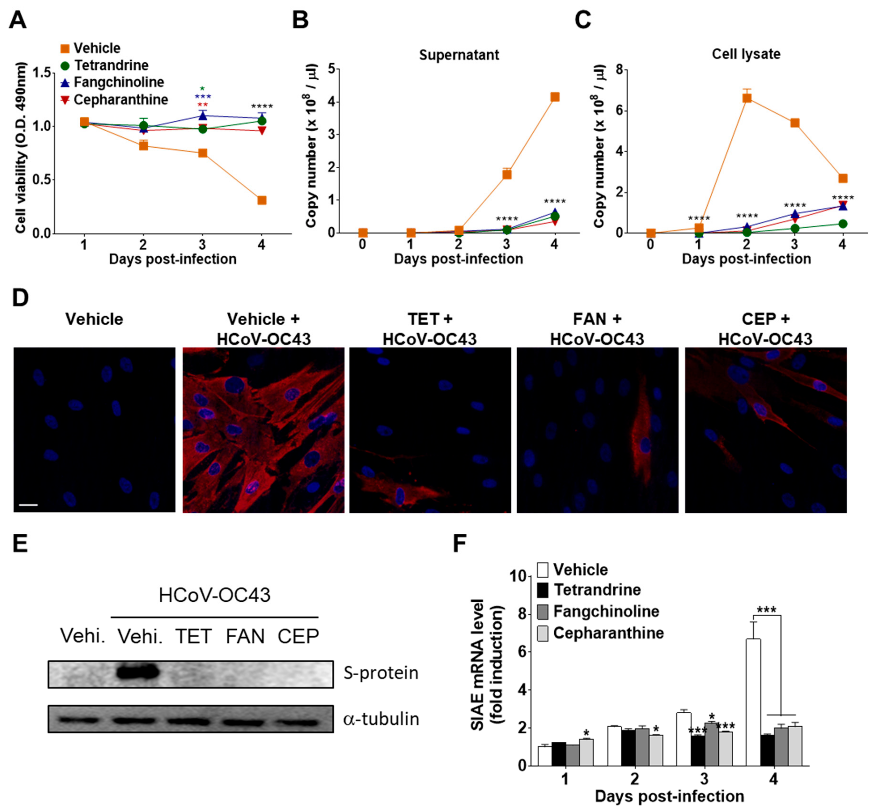 Biomolecules 09 00696 g005
