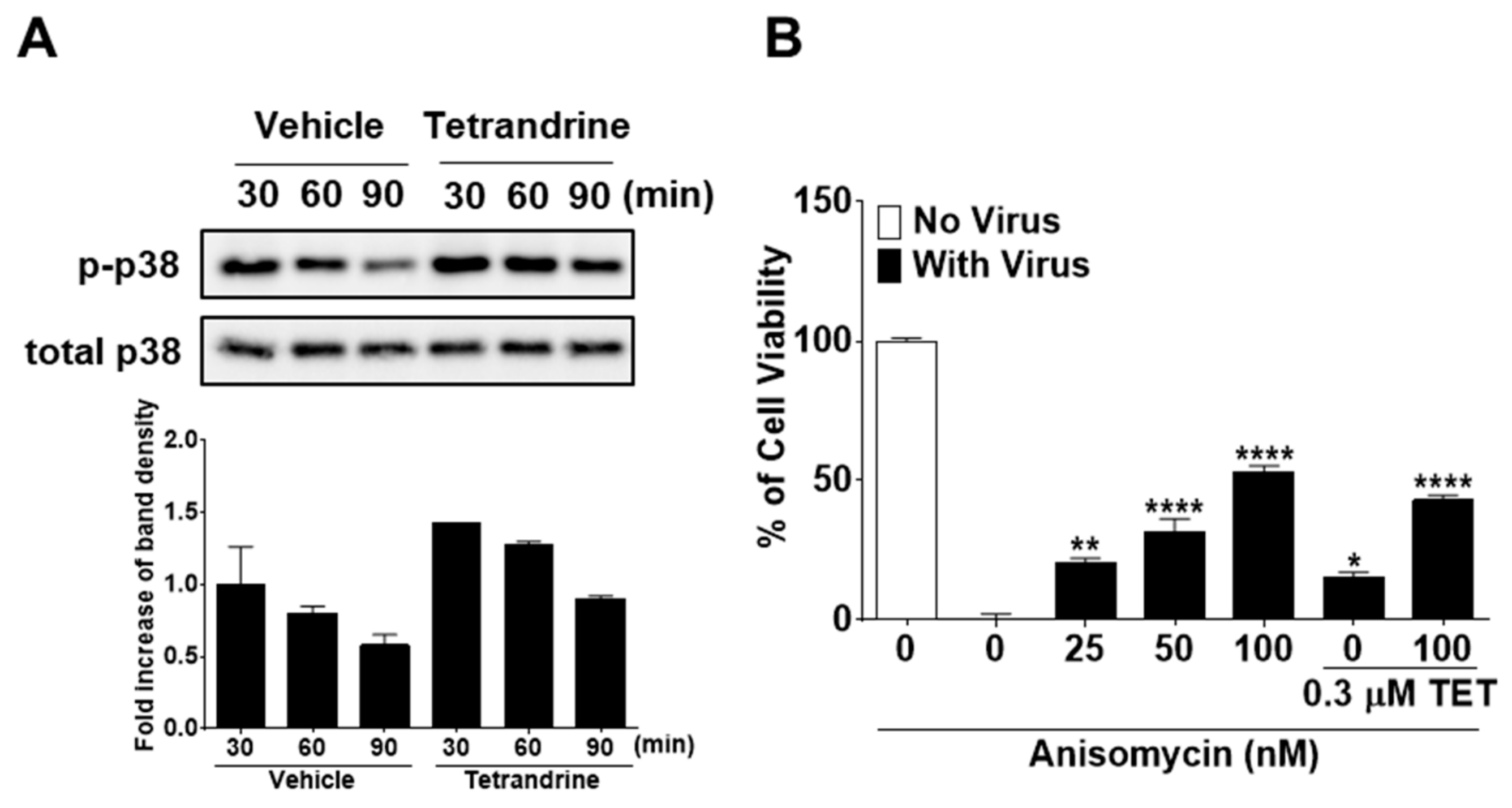 Biomolecules 09 00696 g008
