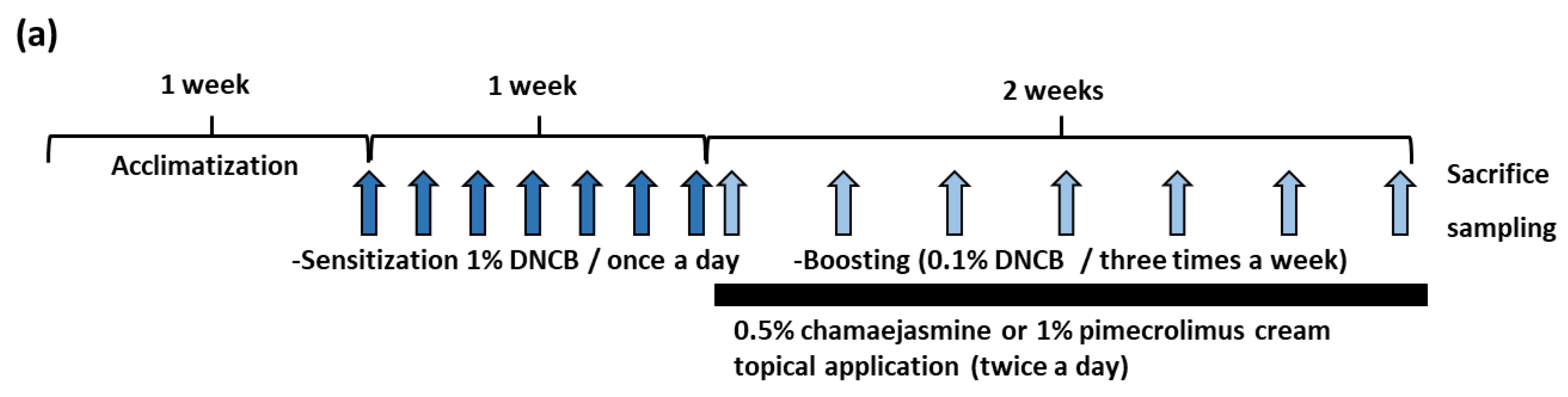 Biomolecules 09 00697 g004a