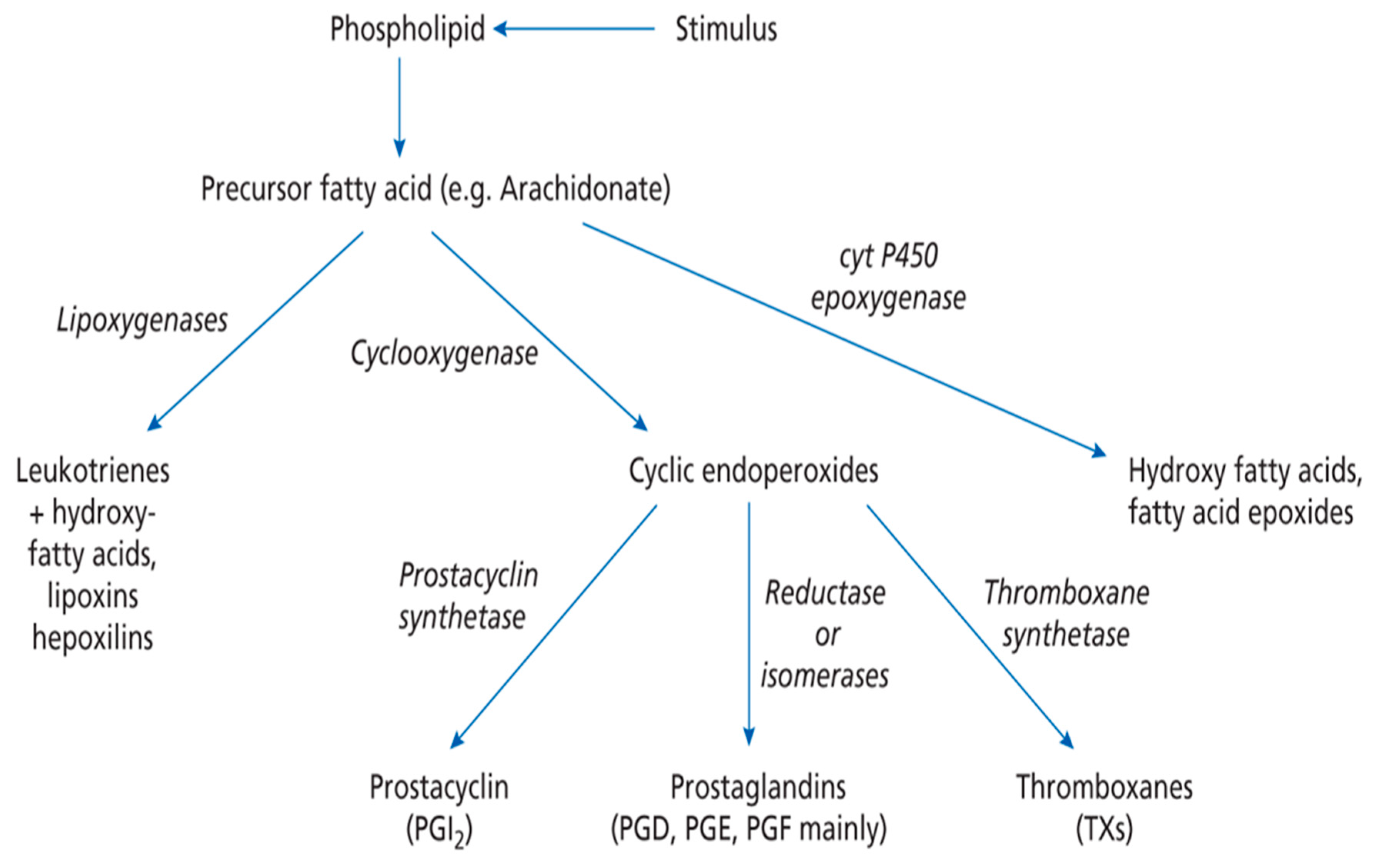 Biomolecules 09 00708 g002