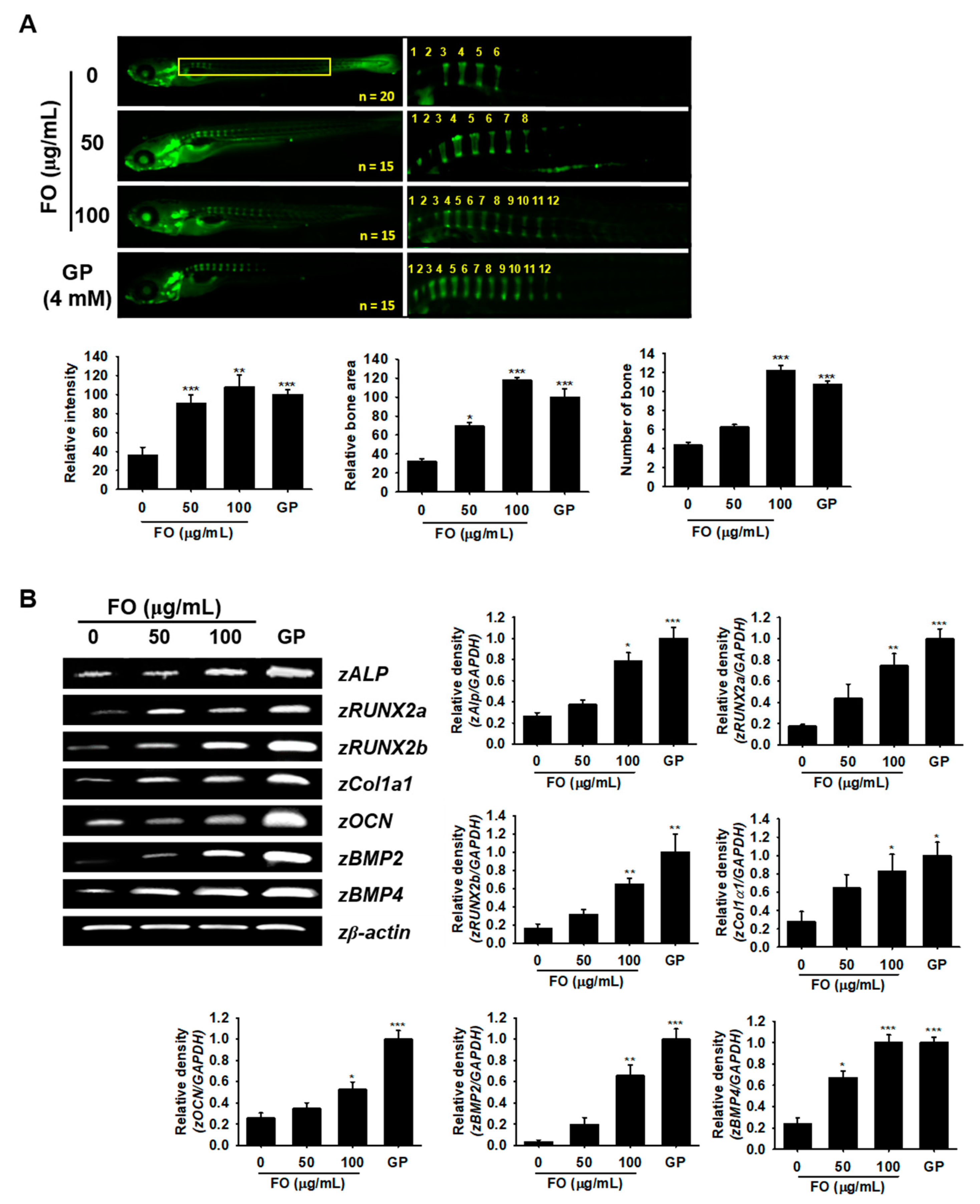 Biomolecules 09 00711 g005