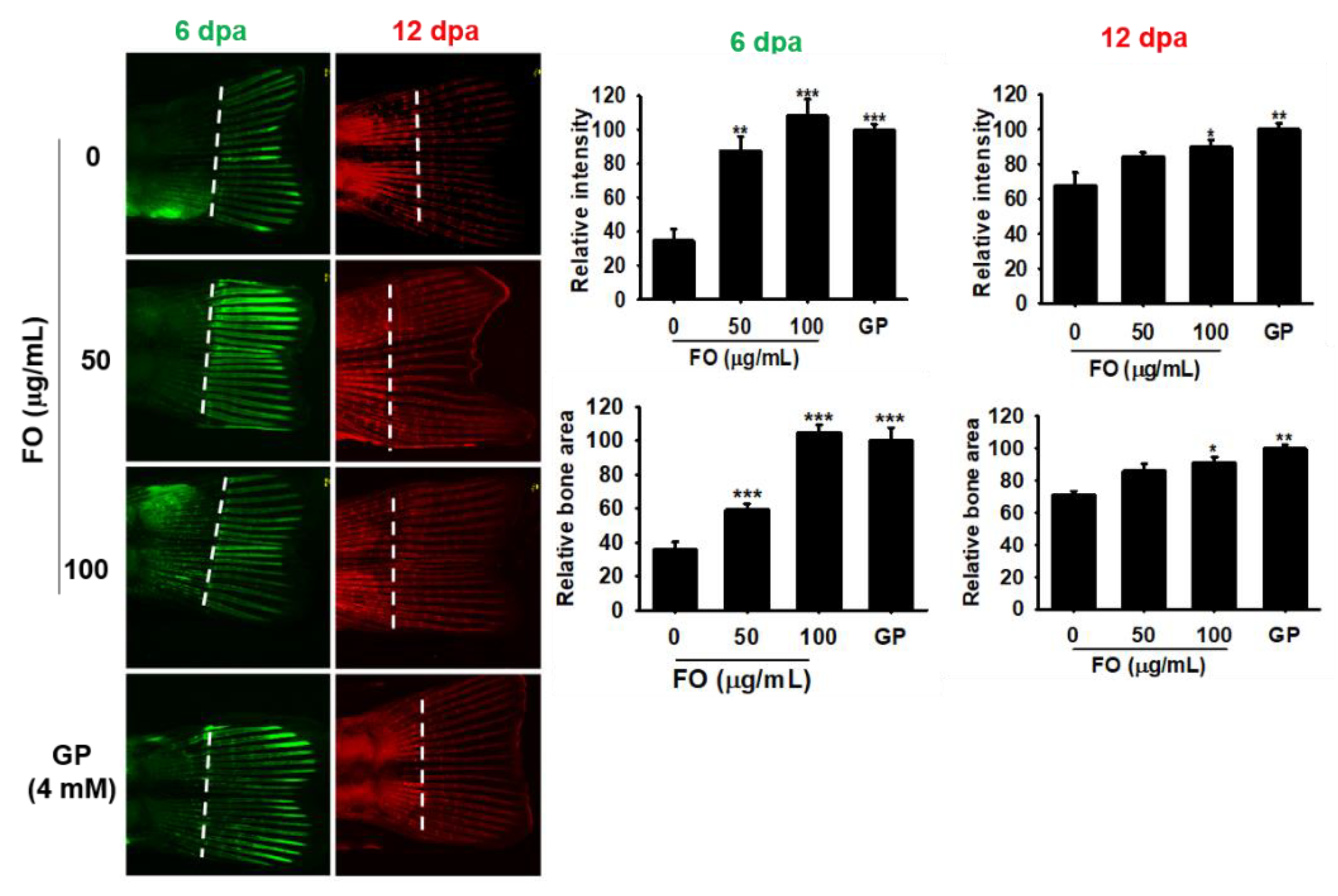 Biomolecules 09 00711 g006