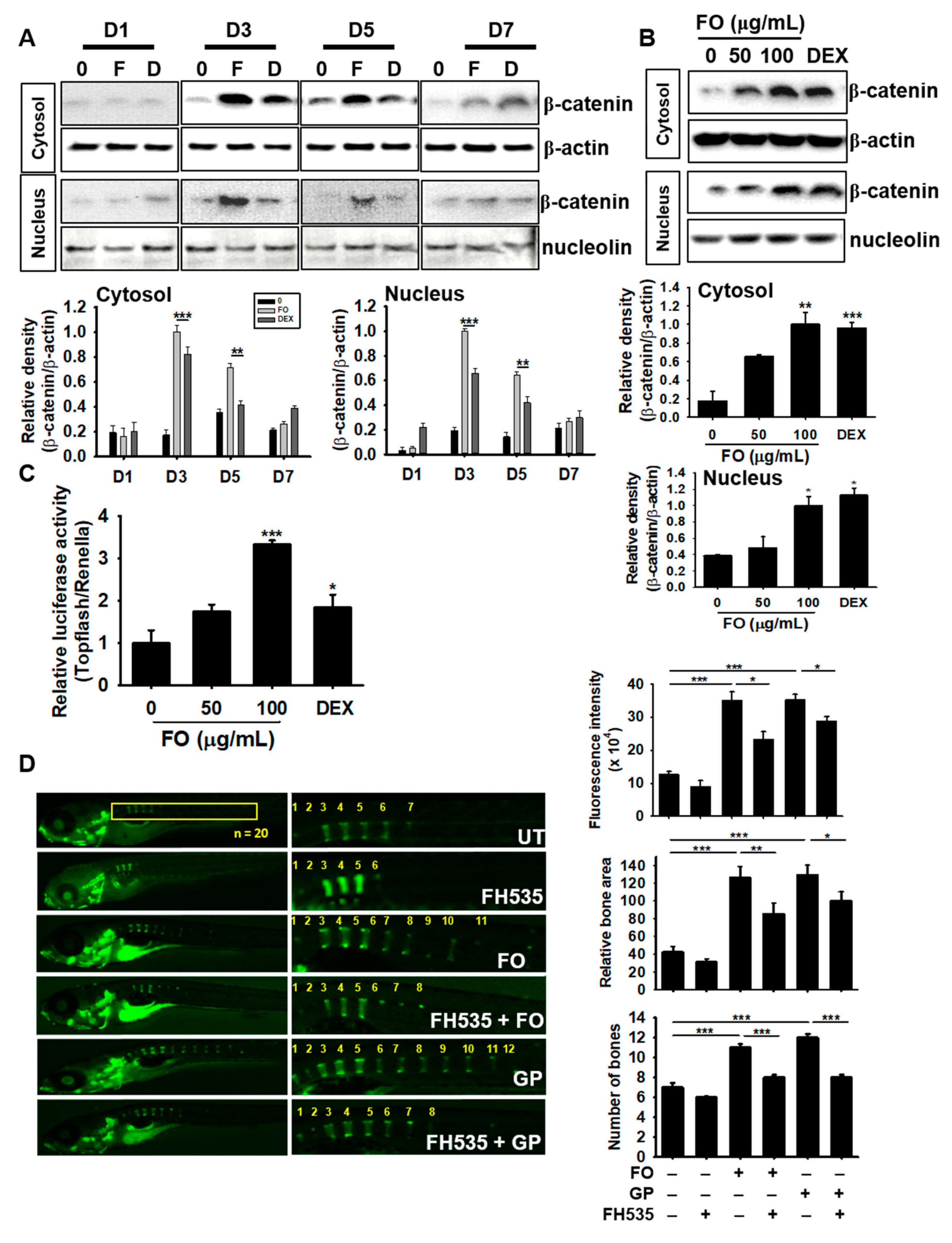 Biomolecules 09 00711 g007