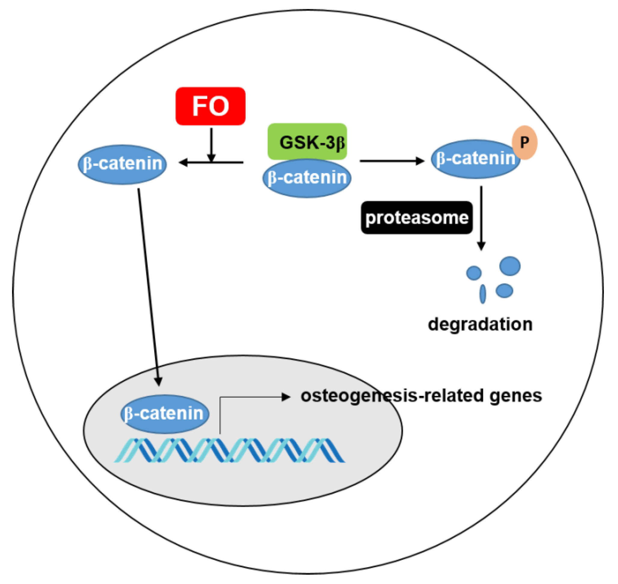 Biomolecules 09 00711 g008