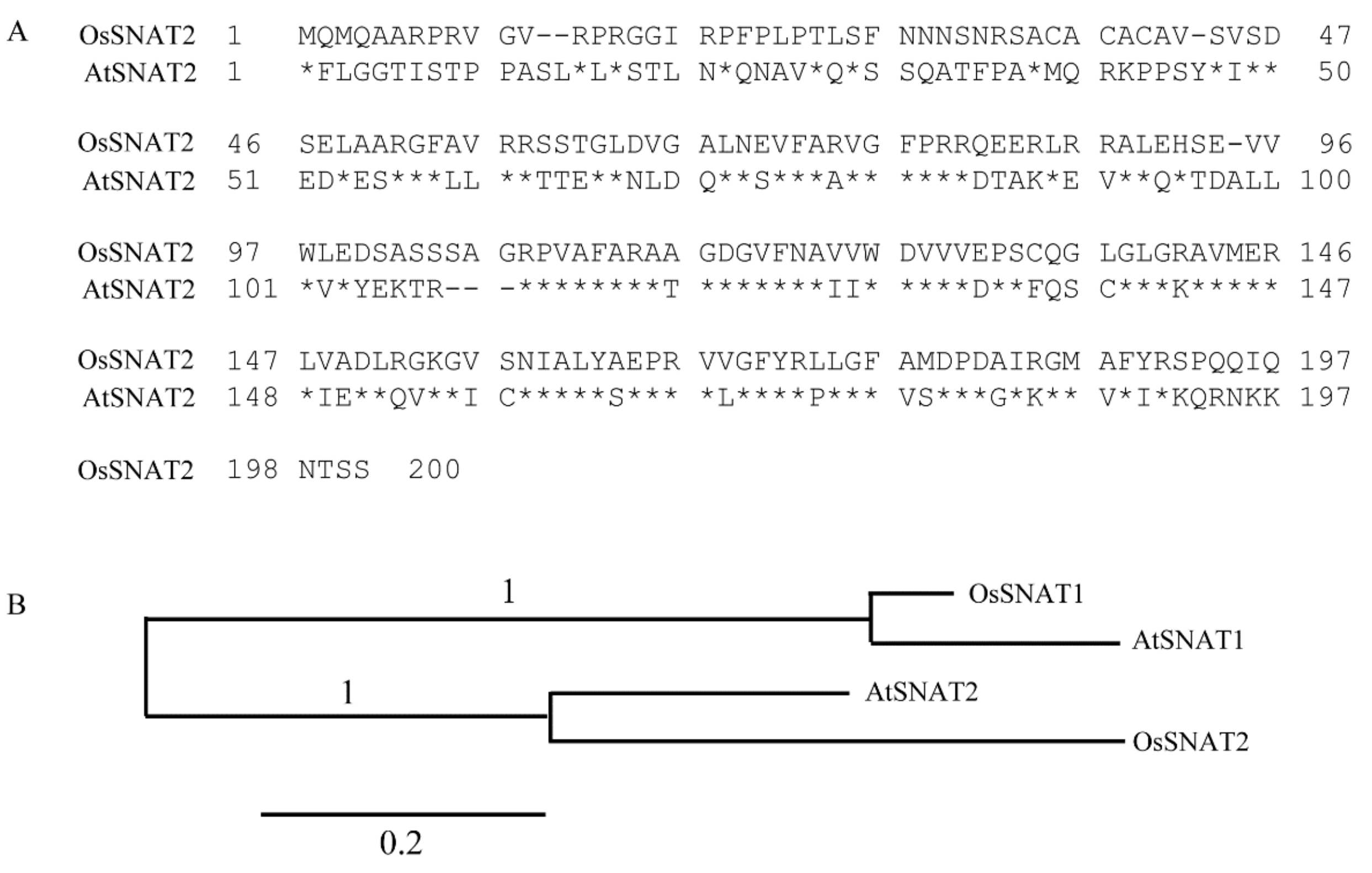 Biomolecules 09 00712 g001