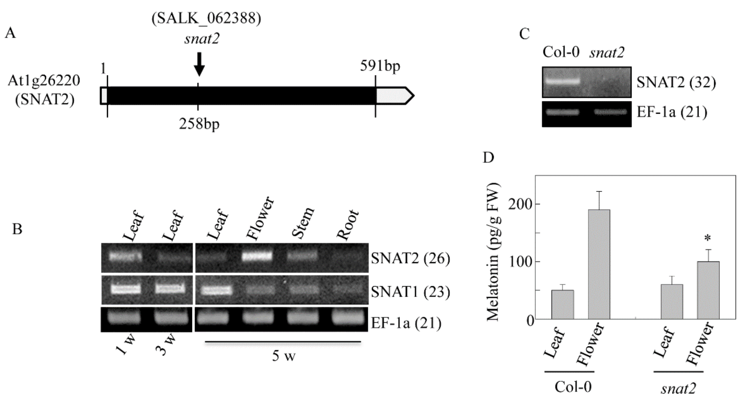 Biomolecules 09 00712 g008
