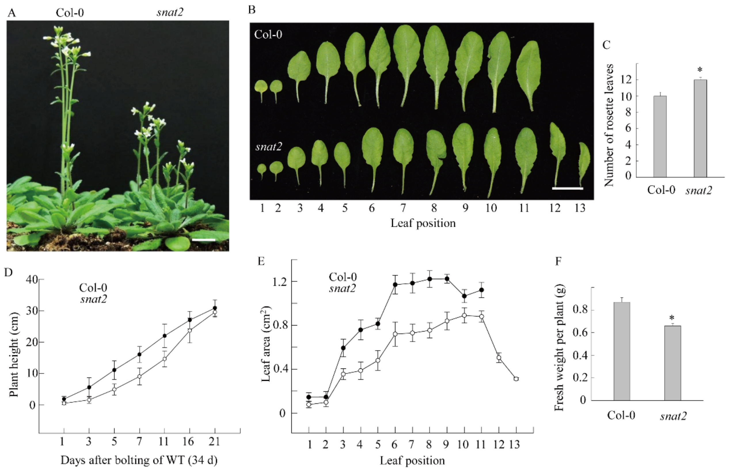 Biomolecules 09 00712 g009