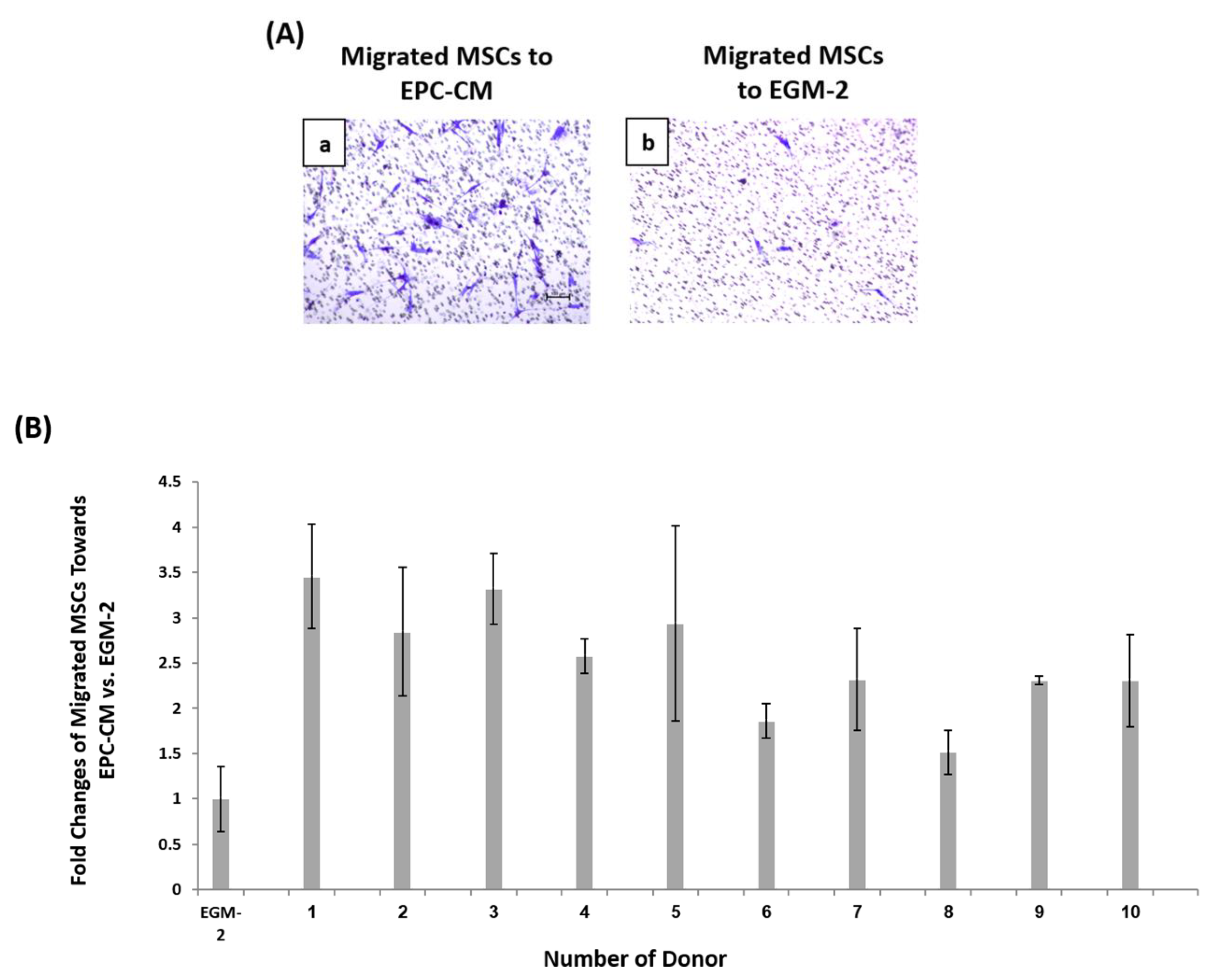 Biomolecules 09 00717 g003