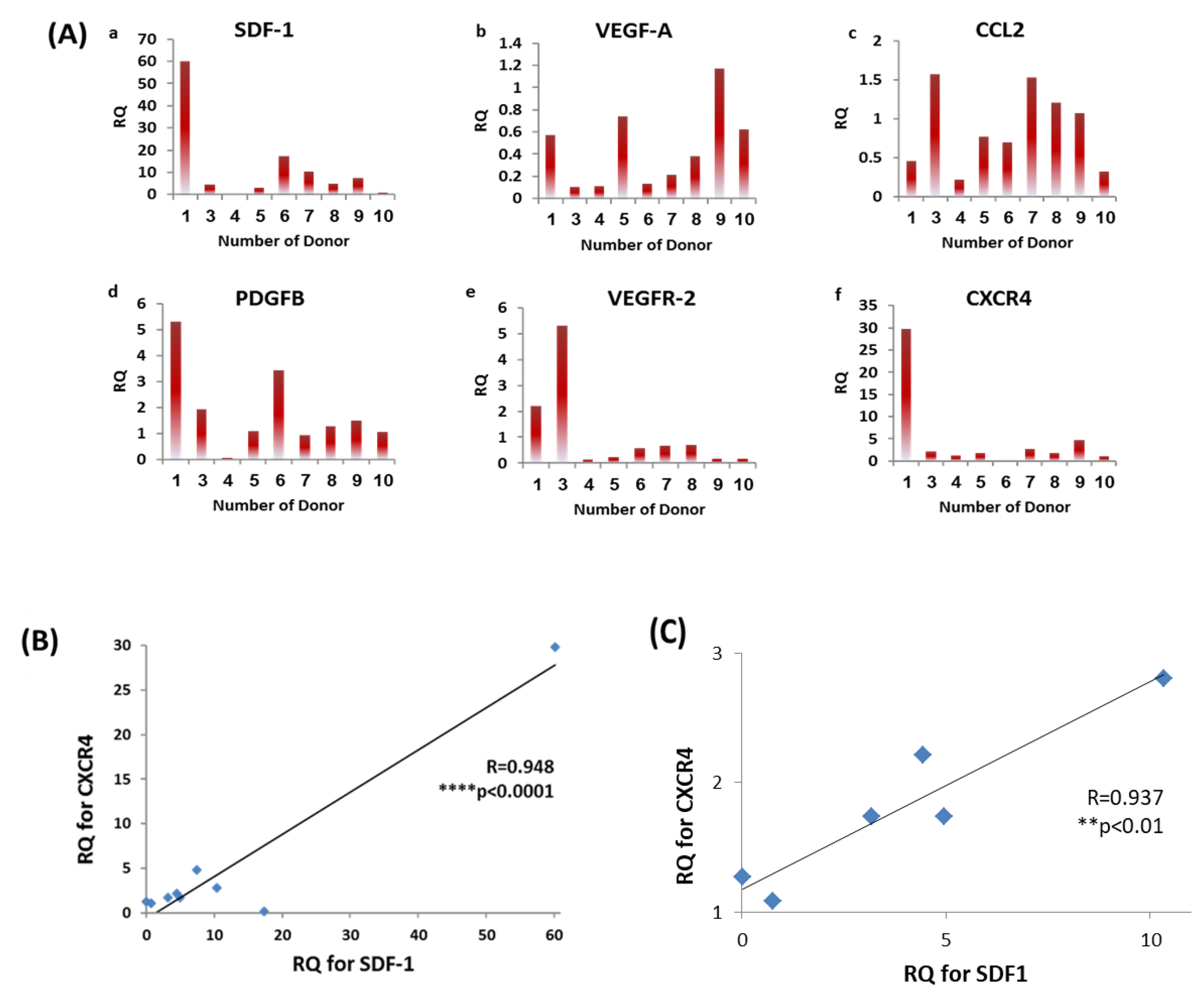 Biomolecules 09 00717 g004
