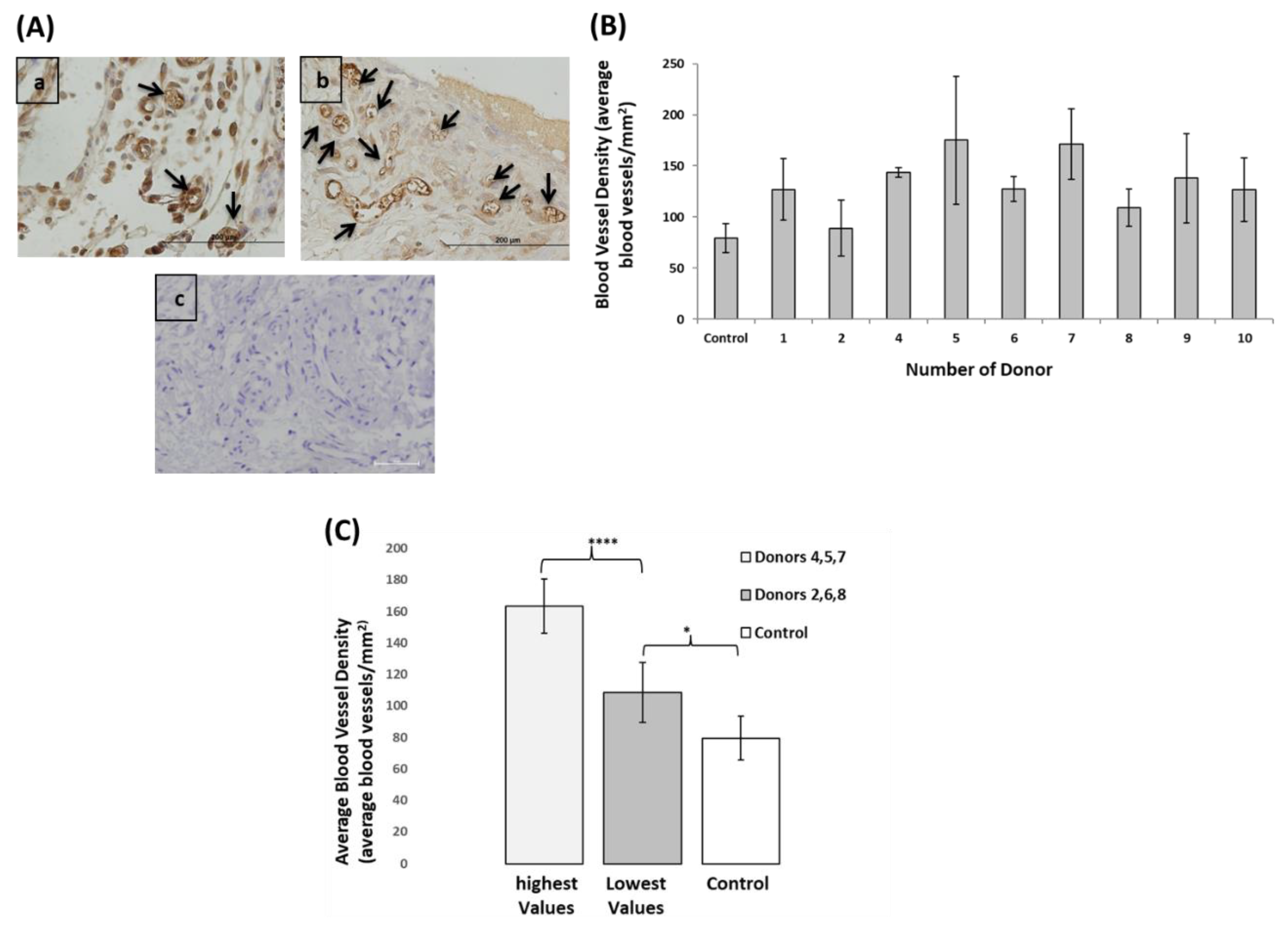 Biomolecules 09 00717 g006