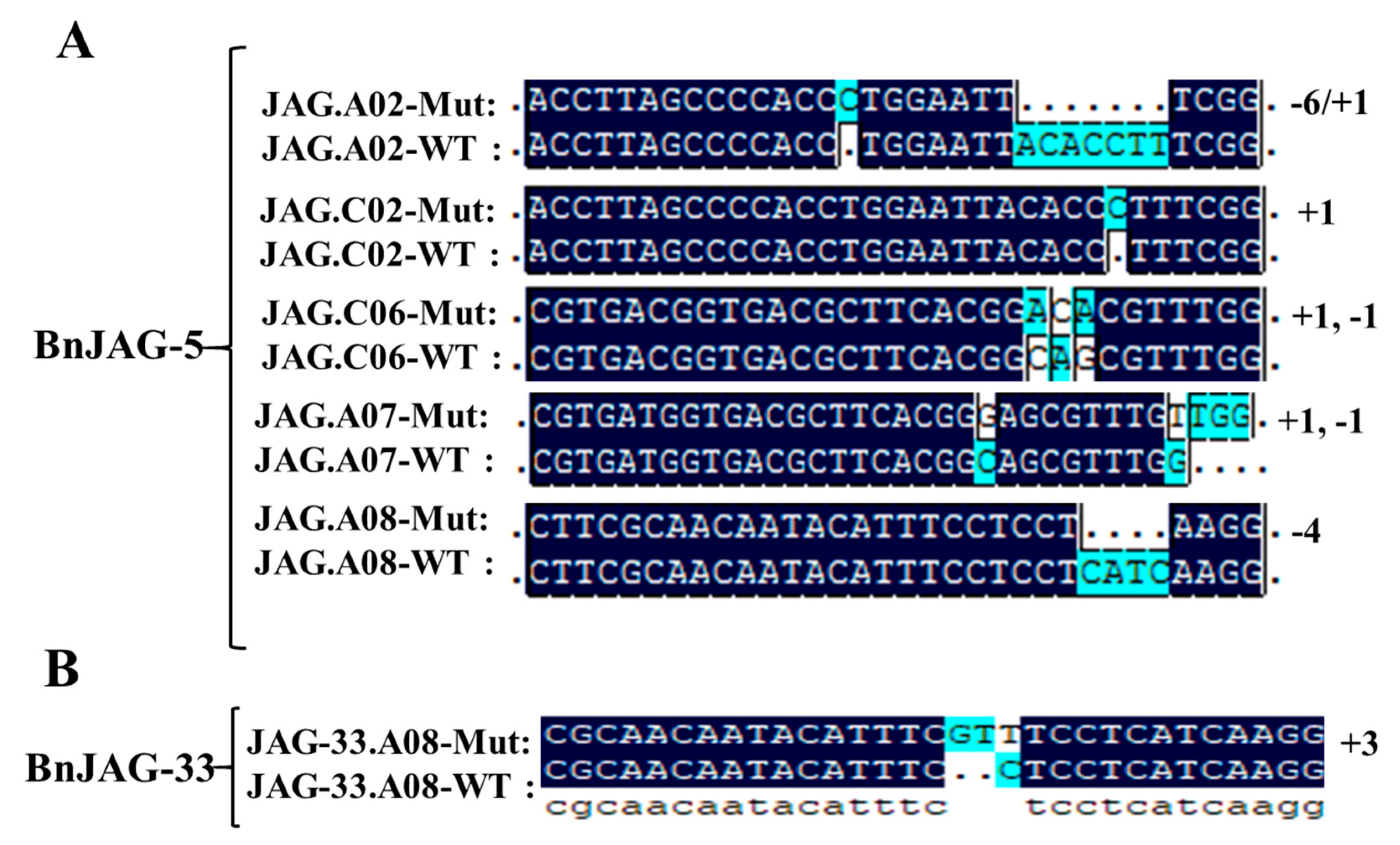 Biomolecules 09 00725 g002