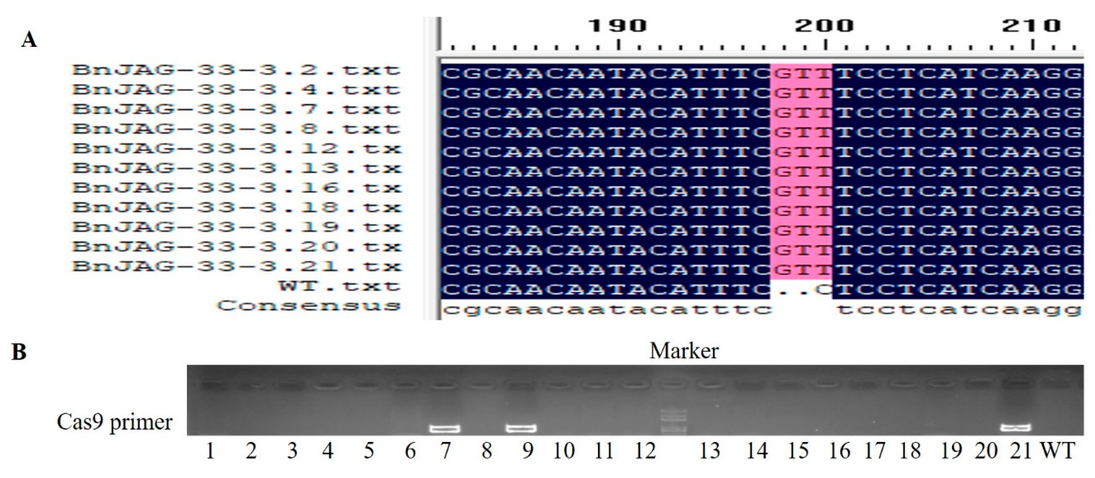 Biomolecules 09 00725 g006