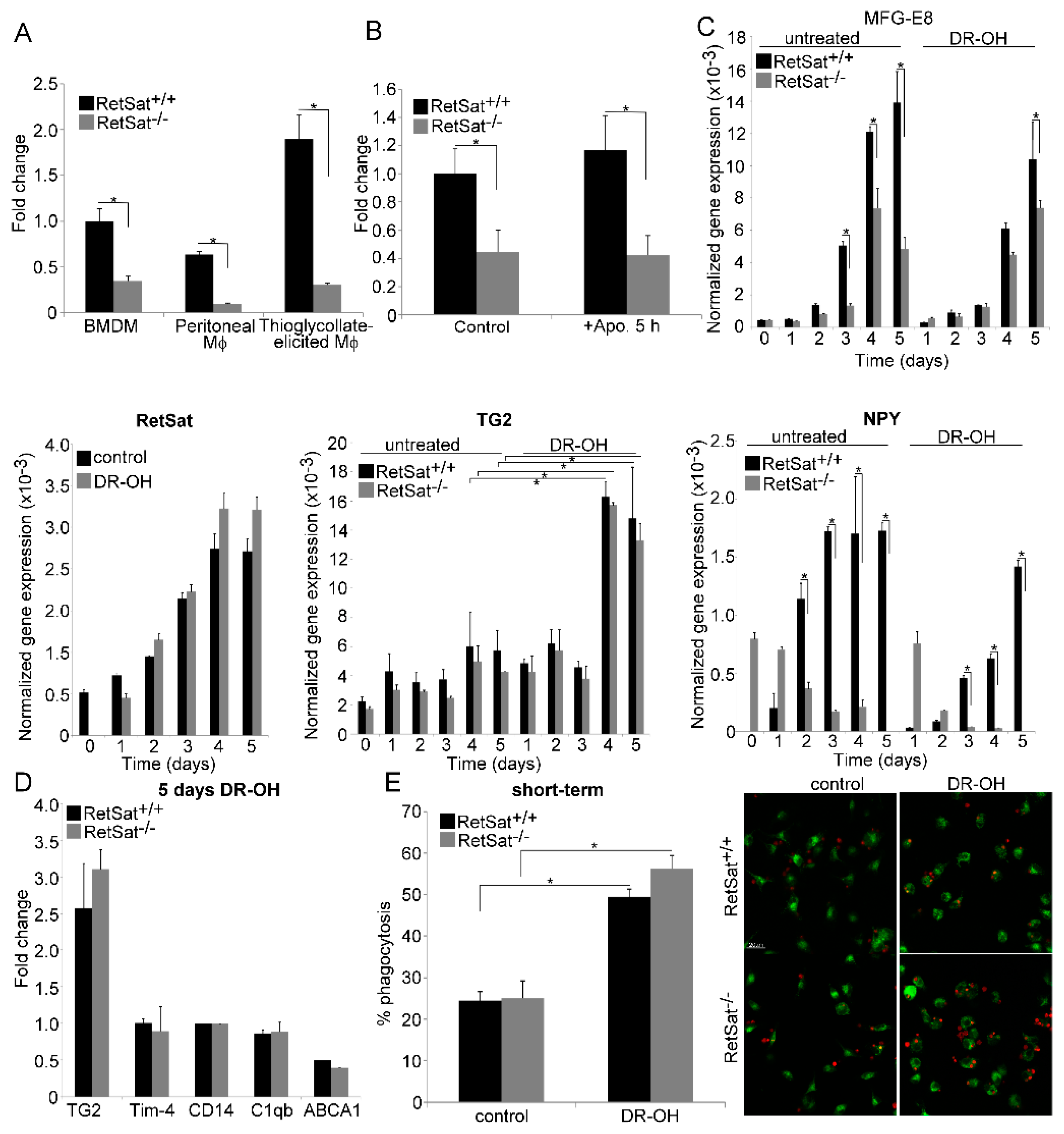 Biomolecules 09 00737 g003 Biomolecules 09 00737 g003