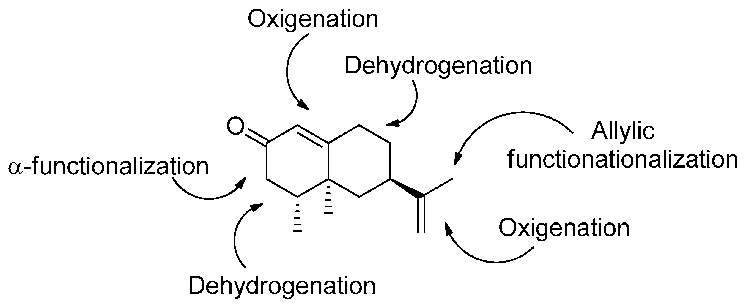Biomolecules 09 00742 g001 Biomolecules 09 00742 g001