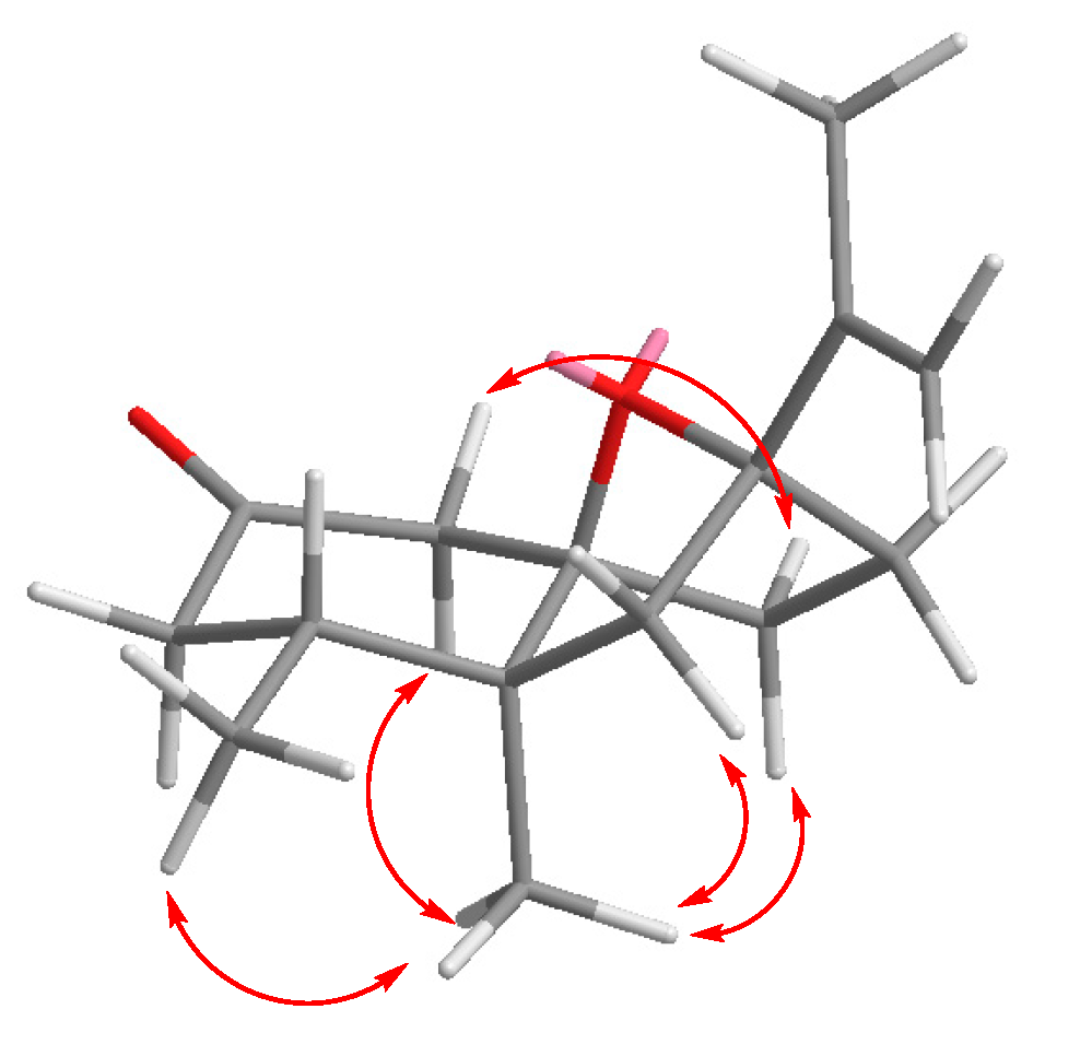 Biomolecules 09 00742 g002 Biomolecules 09 00742 g002