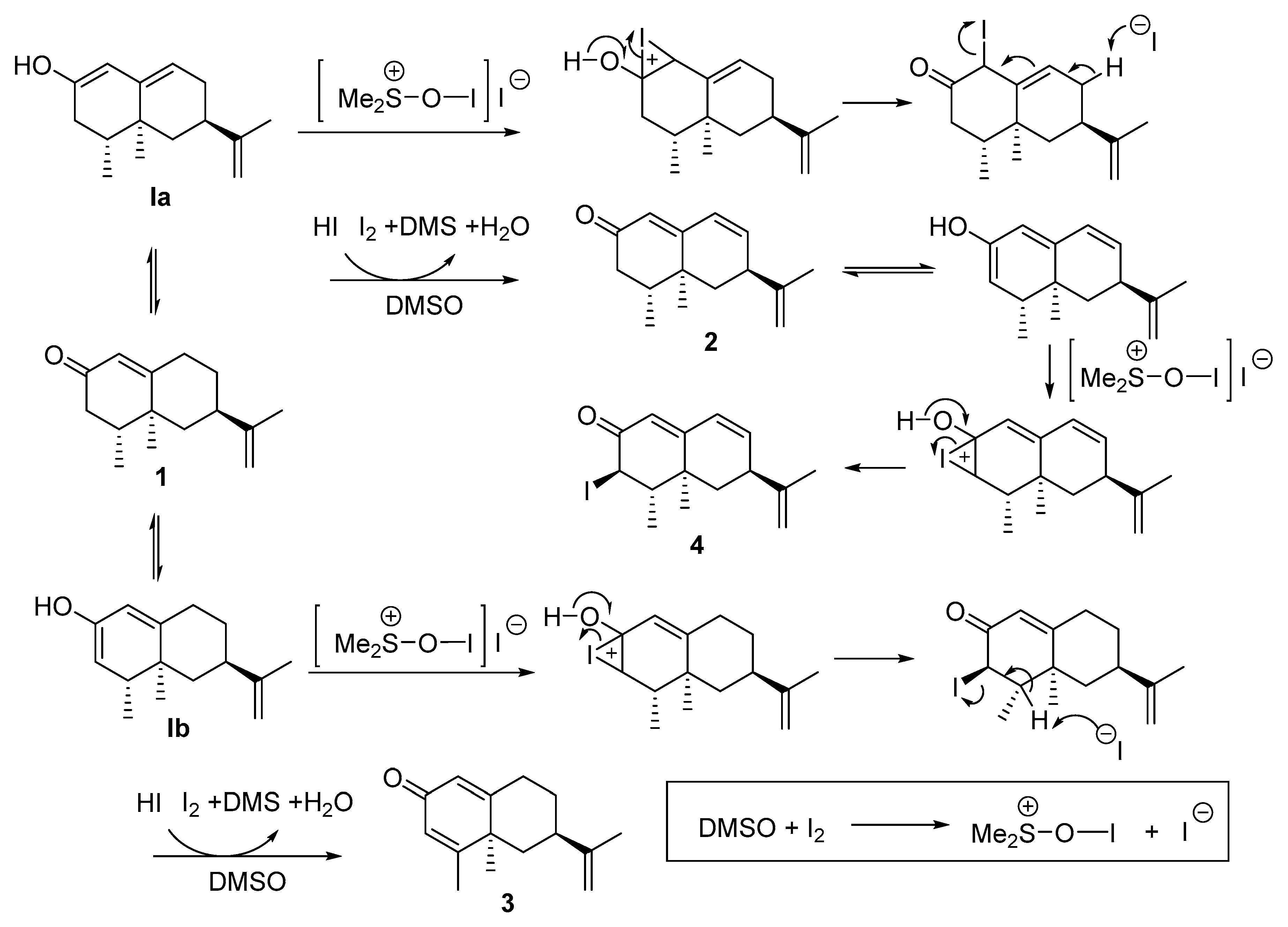 Biomolecules 09 00742 sch001 Biomolecules 09 00742 sch001