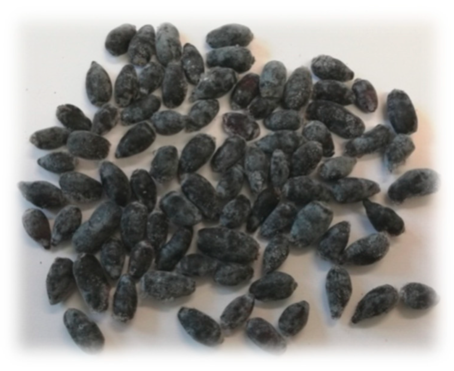 Biomolecules 09 00744 g001 Biomolecules 09 00744 g001