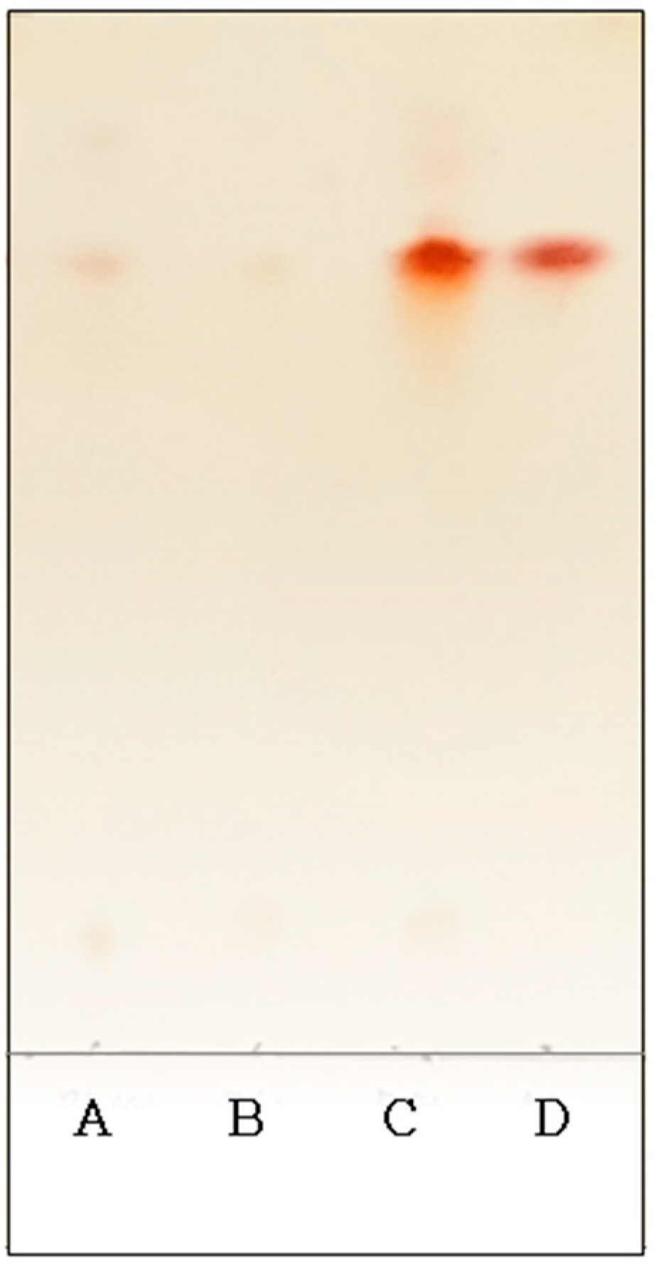 Biomolecules 09 00754 g007 Biomolecules 09 00754 g007