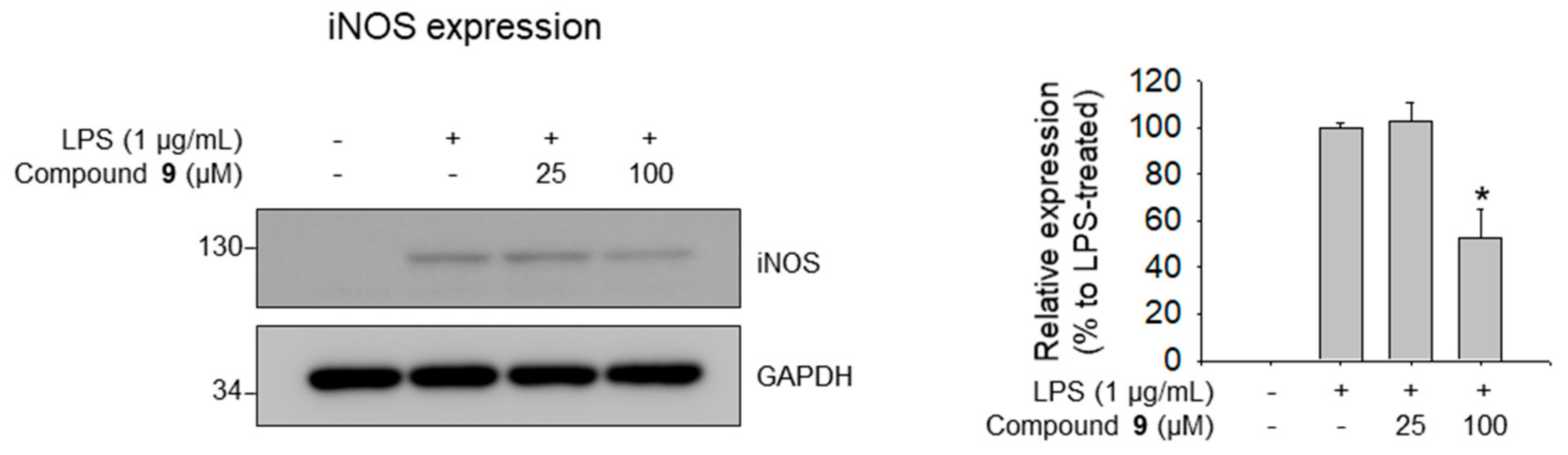 Biomolecules 09 00755 g008 Biomolecules 09 00755 g008