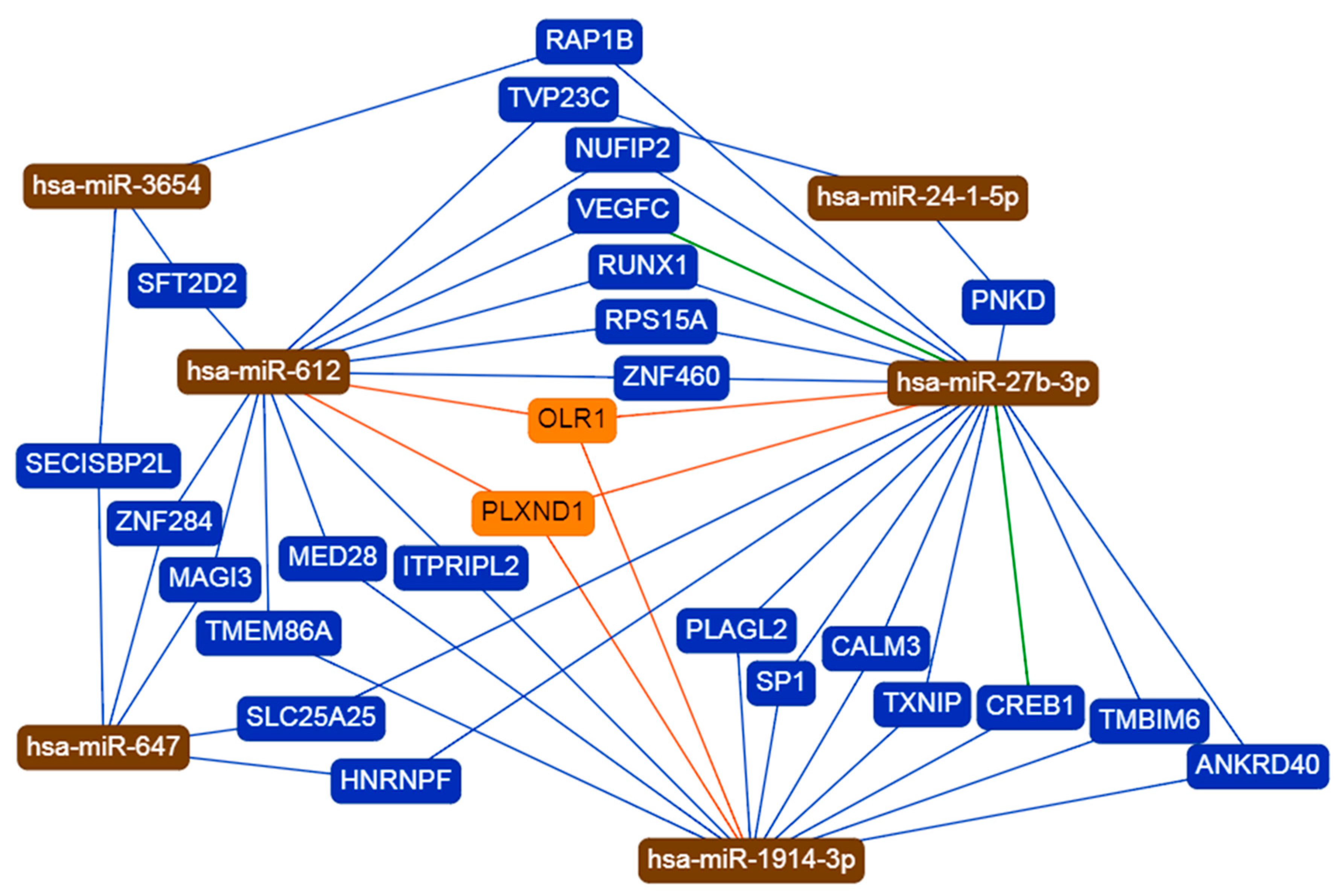 Biomolecules 09 00757 g002