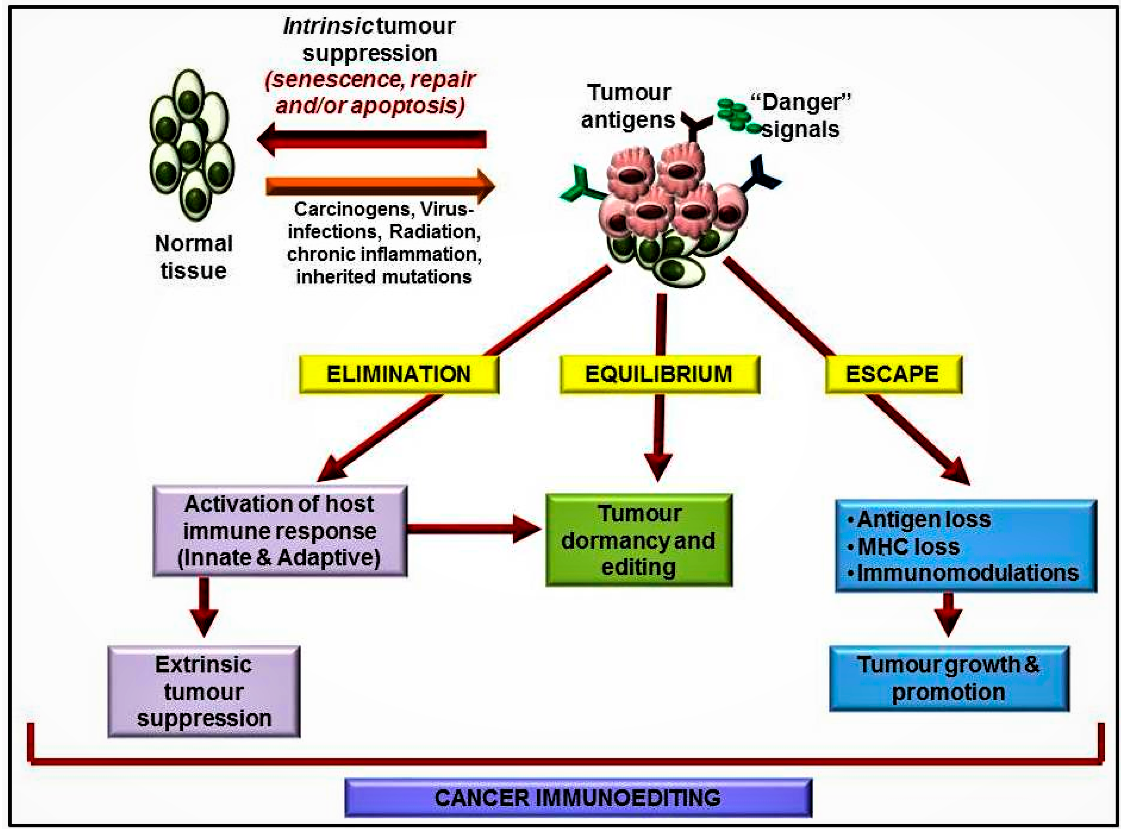 Biomolecules 09 00758 g002 Biomolecules 09 00758 g002
