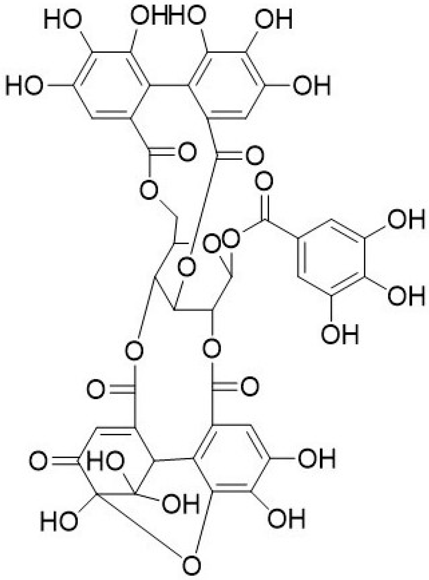 Biomolecules 09 00758 g005 Biomolecules 09 00758 g005