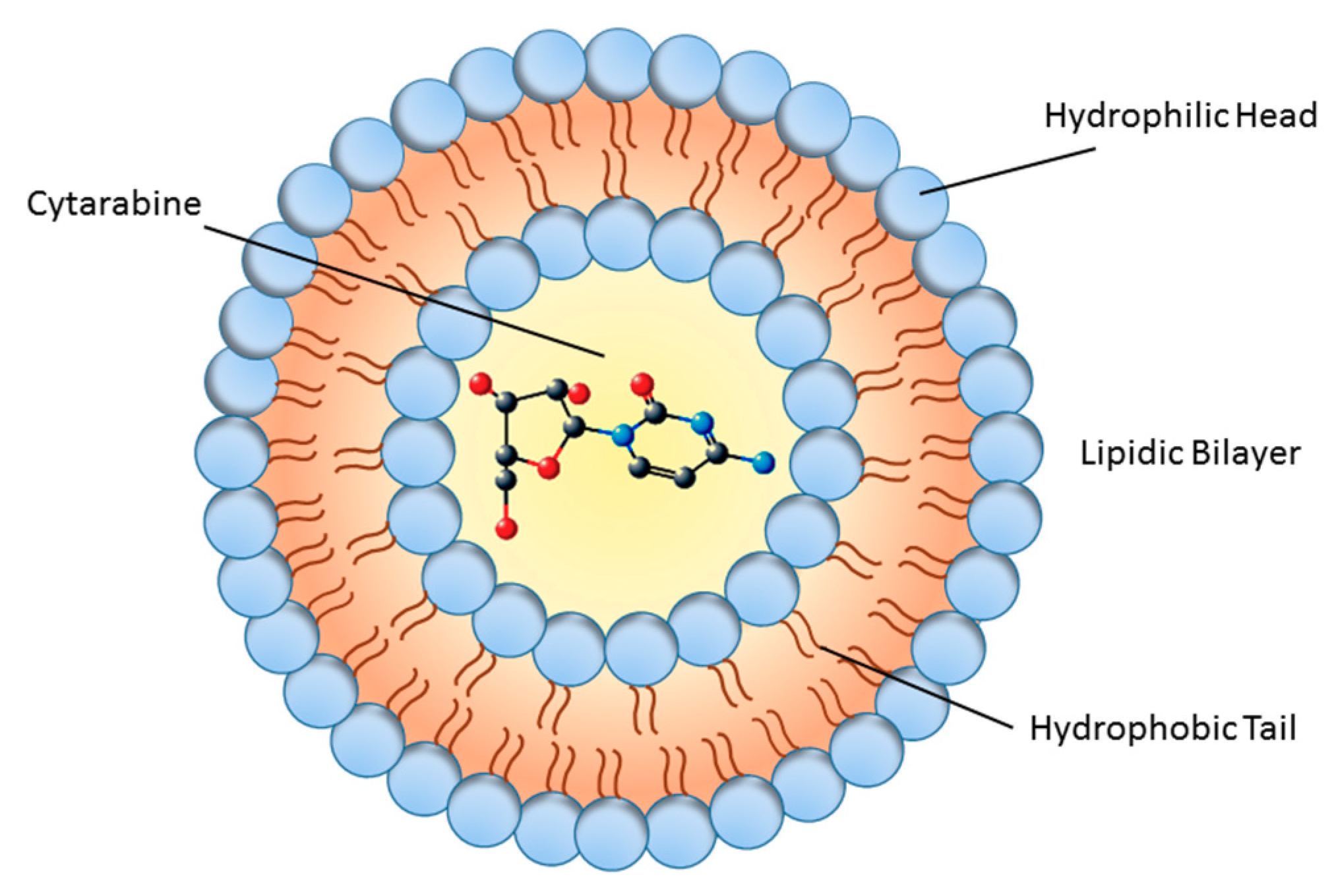 Biomolecules 09 00773 g001 Biomolecules 09 00773 g001