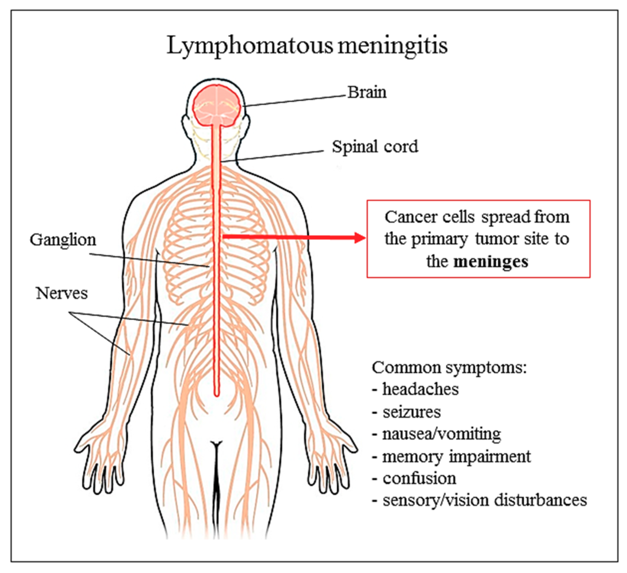 Biomolecules 09 00773 g002 Biomolecules 09 00773 g002