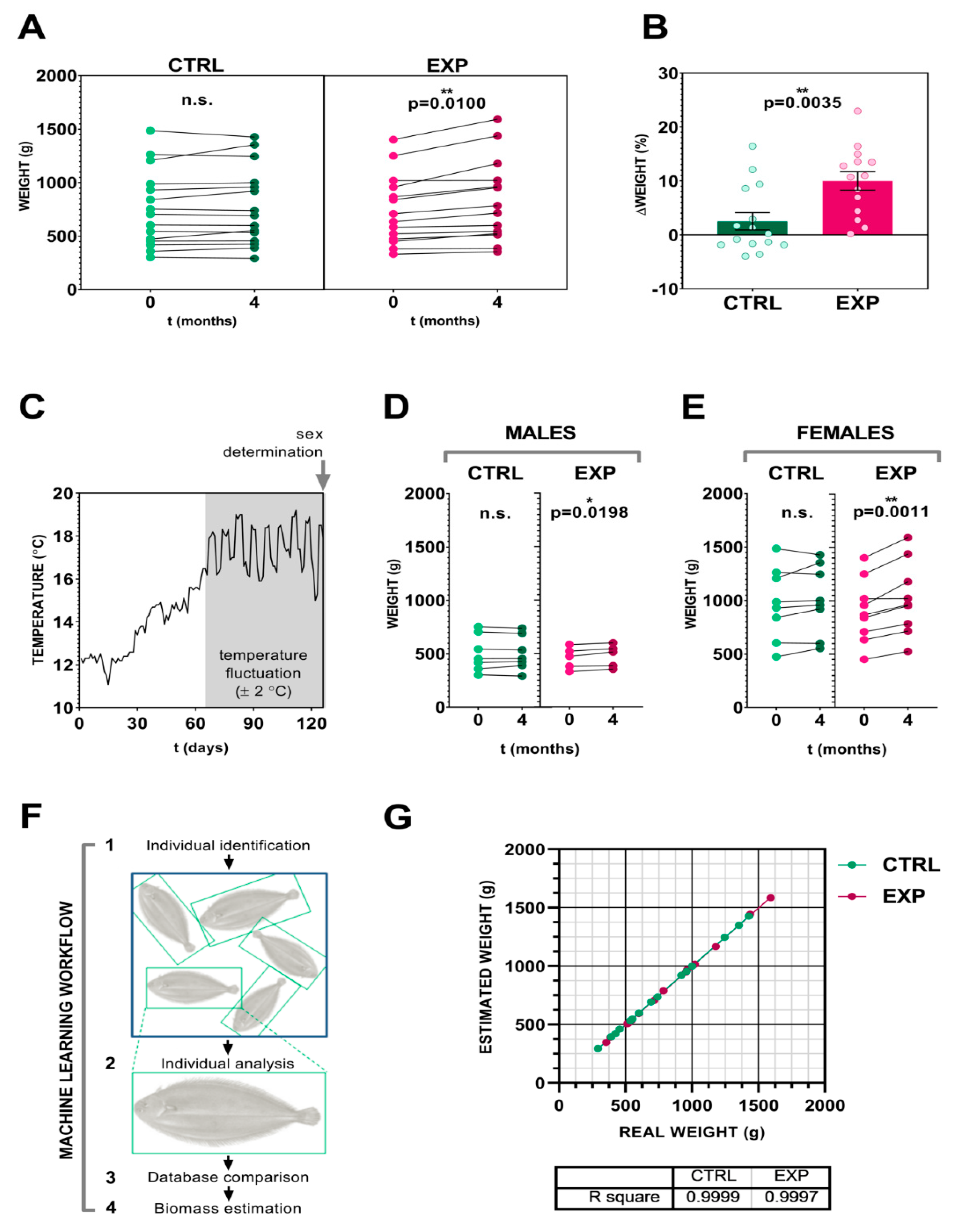 Biomolecules 09 00778 g002
