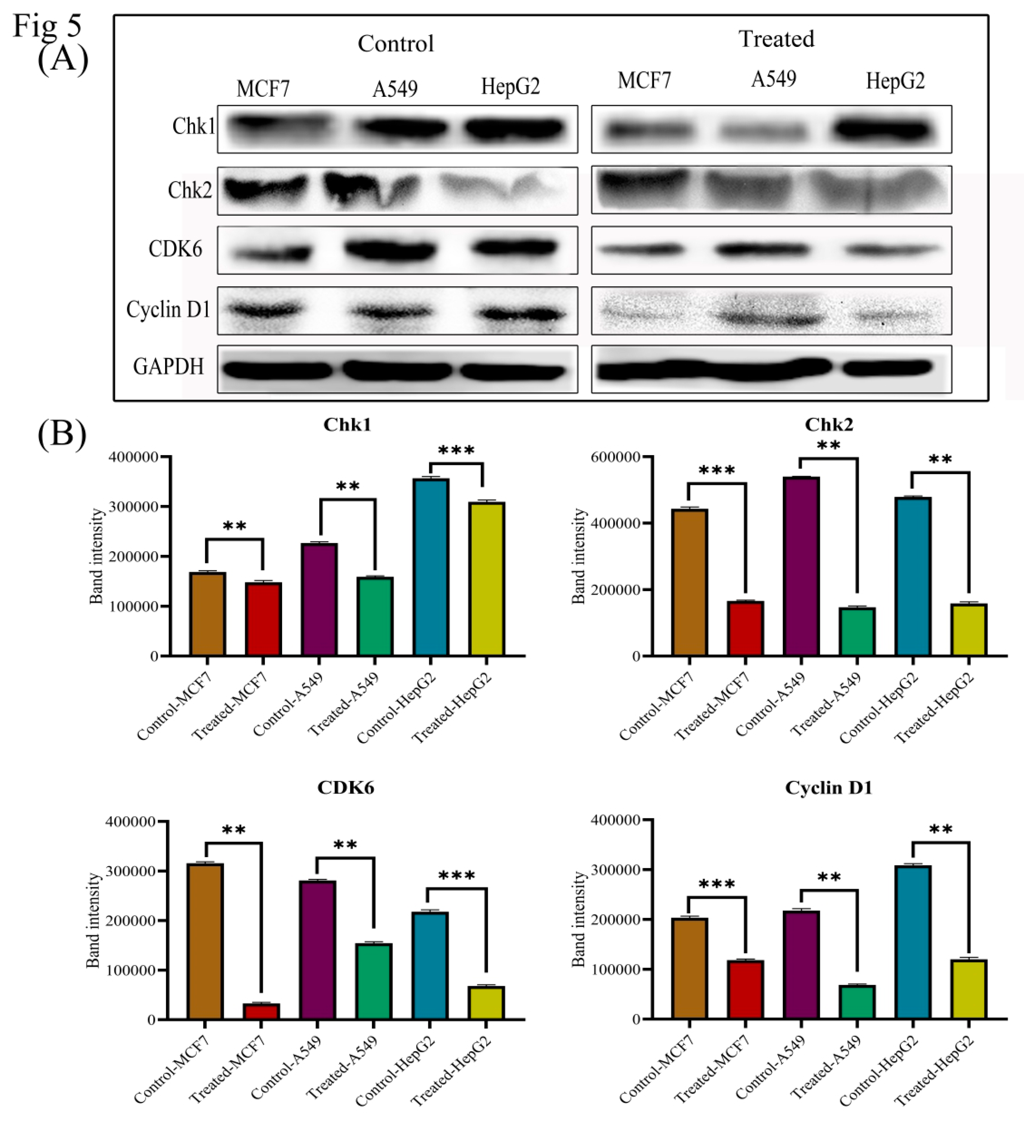 Biomolecules 09 00792 g005 Biomolecules 09 00792 g005