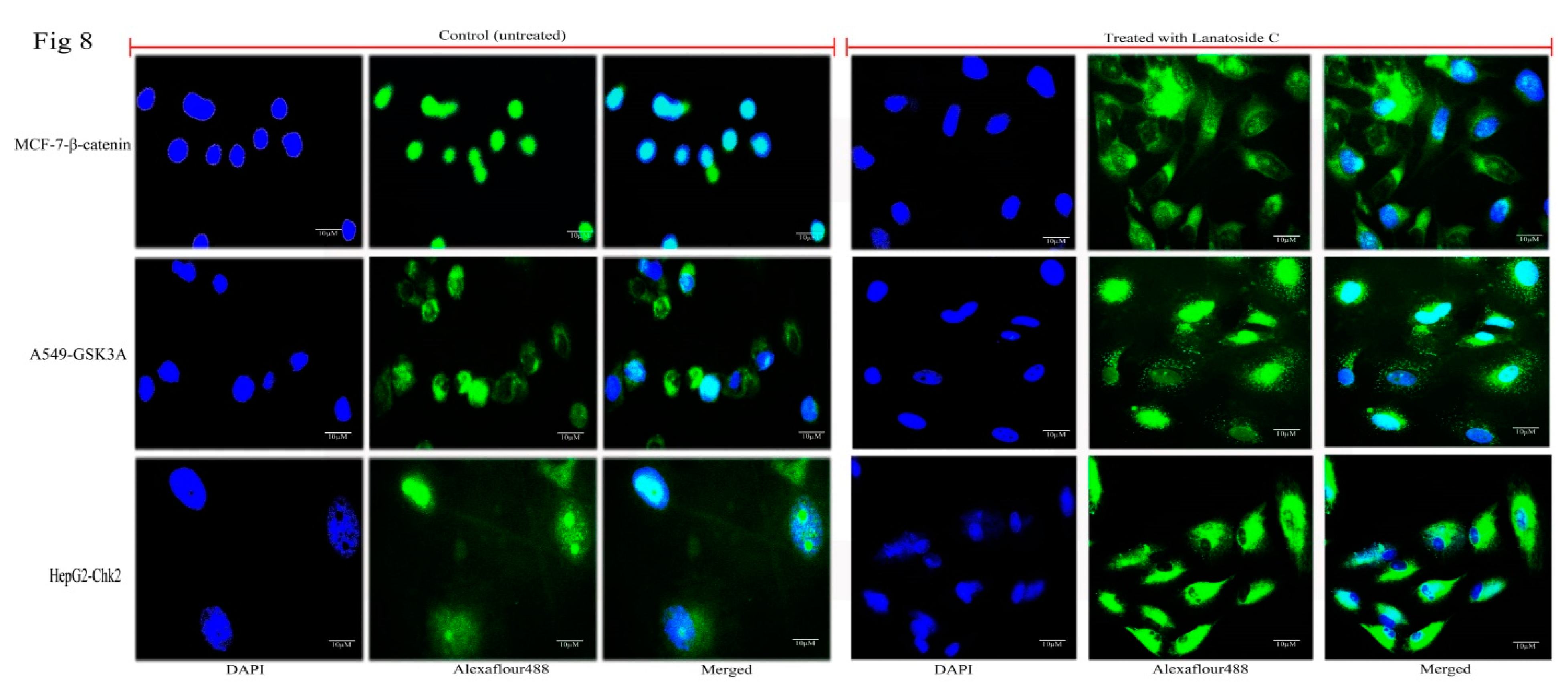 Biomolecules 09 00792 g008 Biomolecules 09 00792 g008
