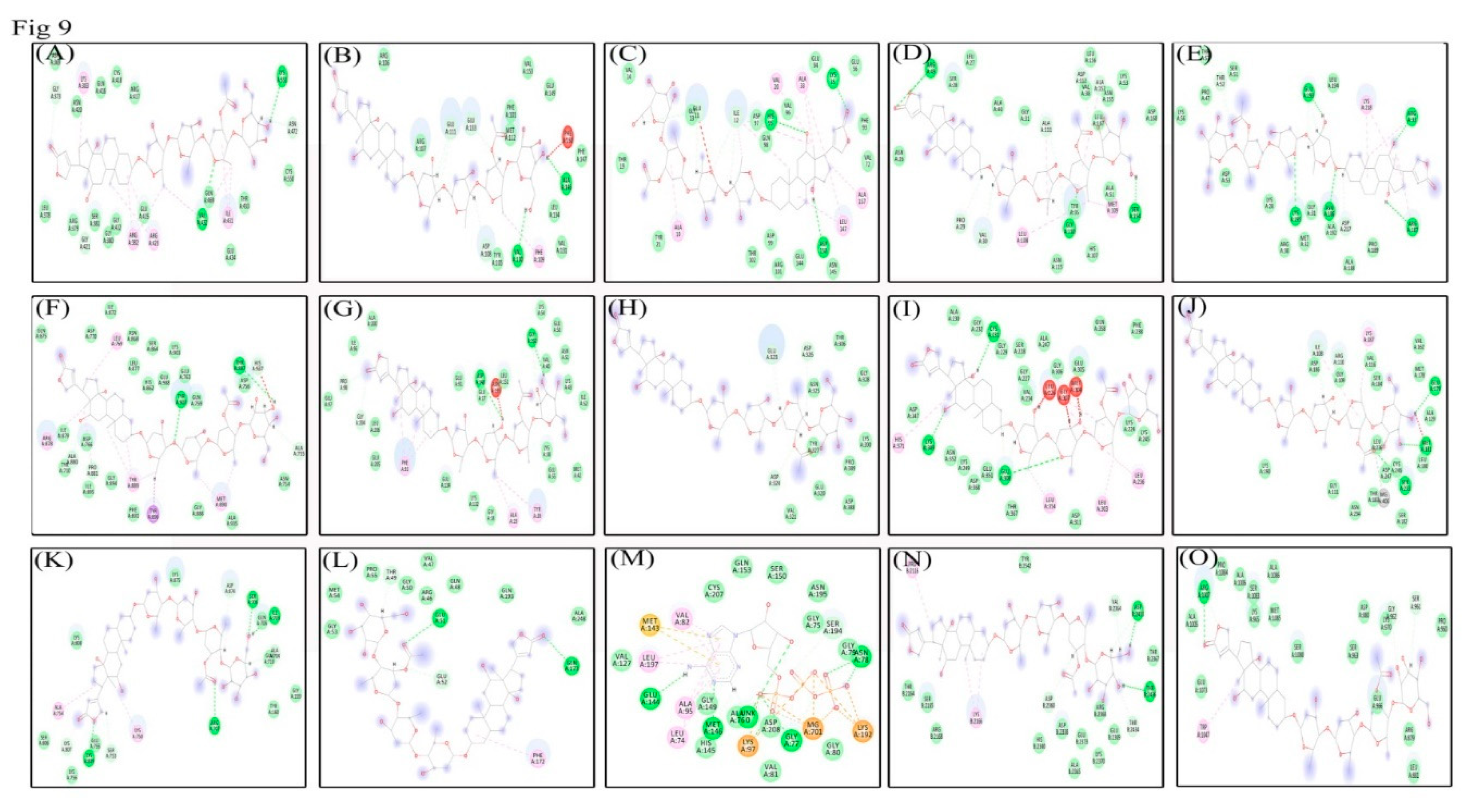 Biomolecules 09 00792 g009 Biomolecules 09 00792 g009