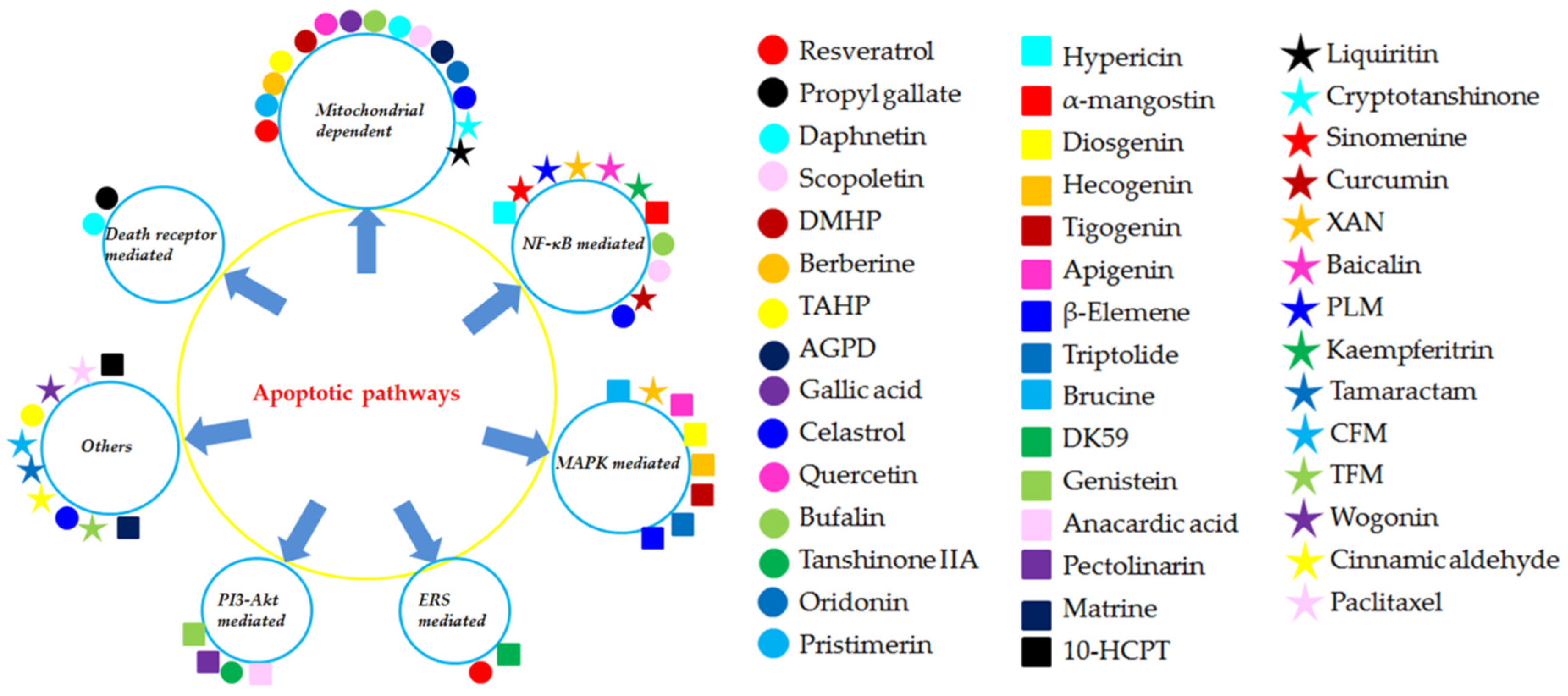 Biomolecules 09 00795 g008 Biomolecules 09 00795 g008