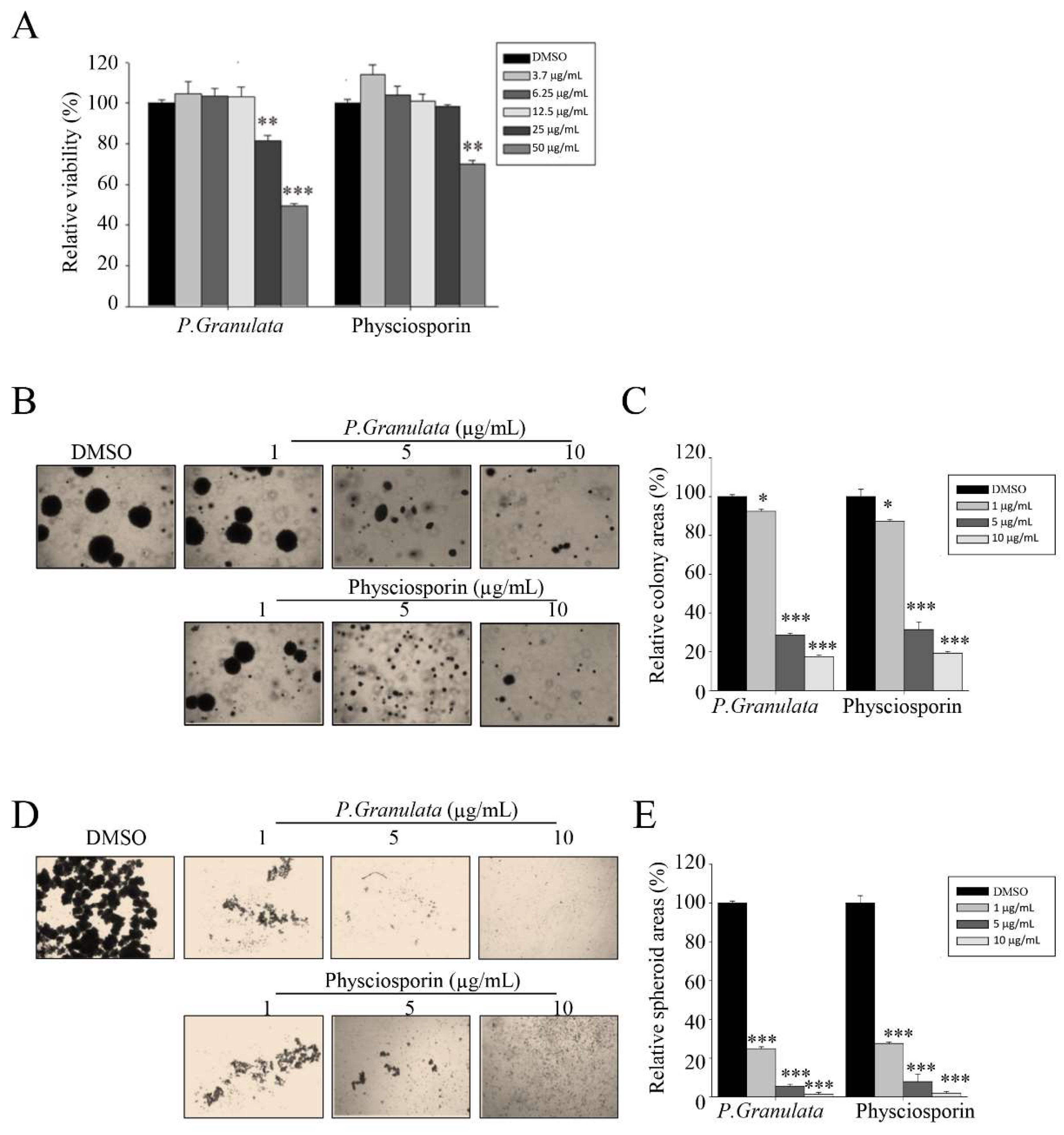 Biomolecules 09 00797 g001
