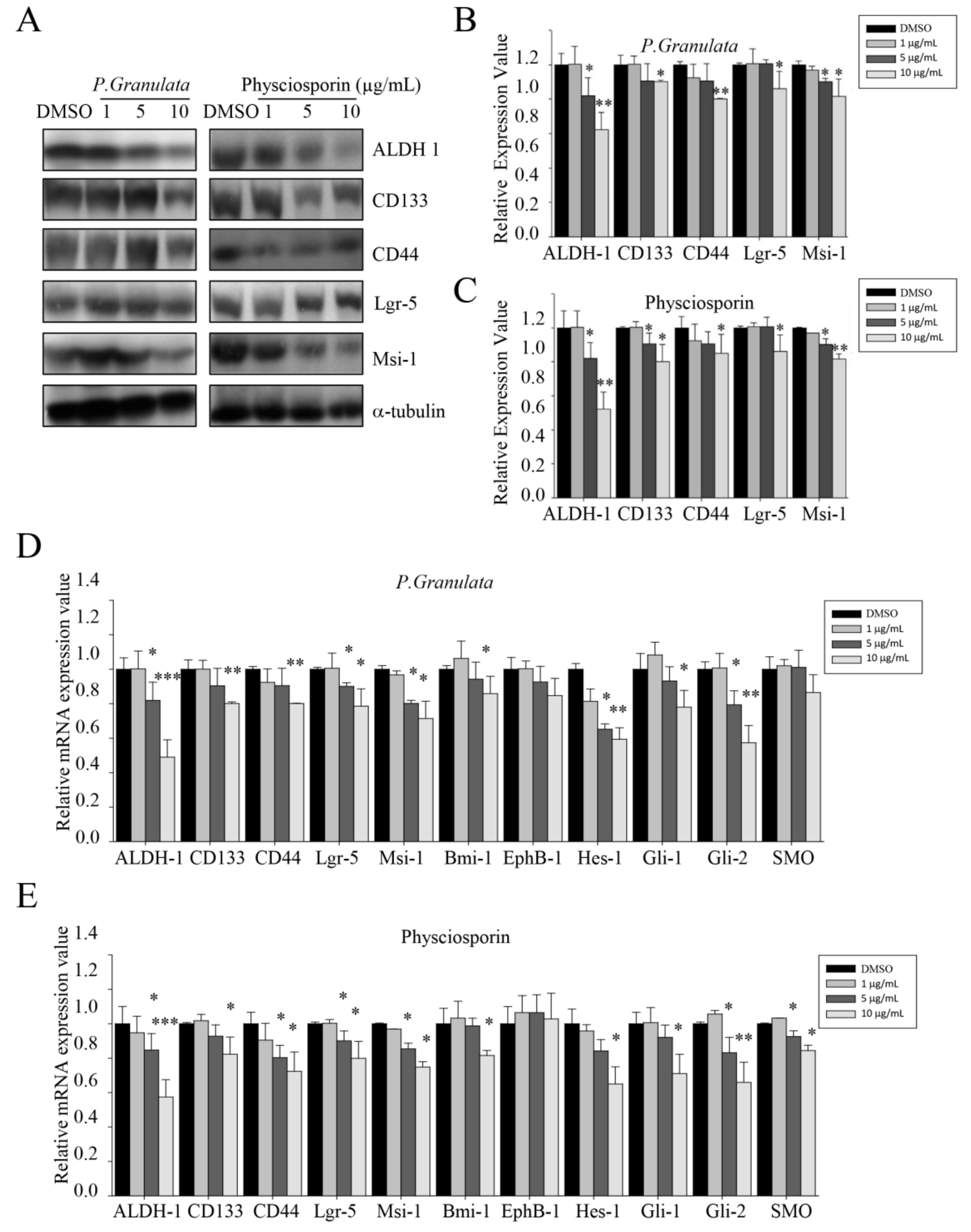 Biomolecules 09 00797 g003