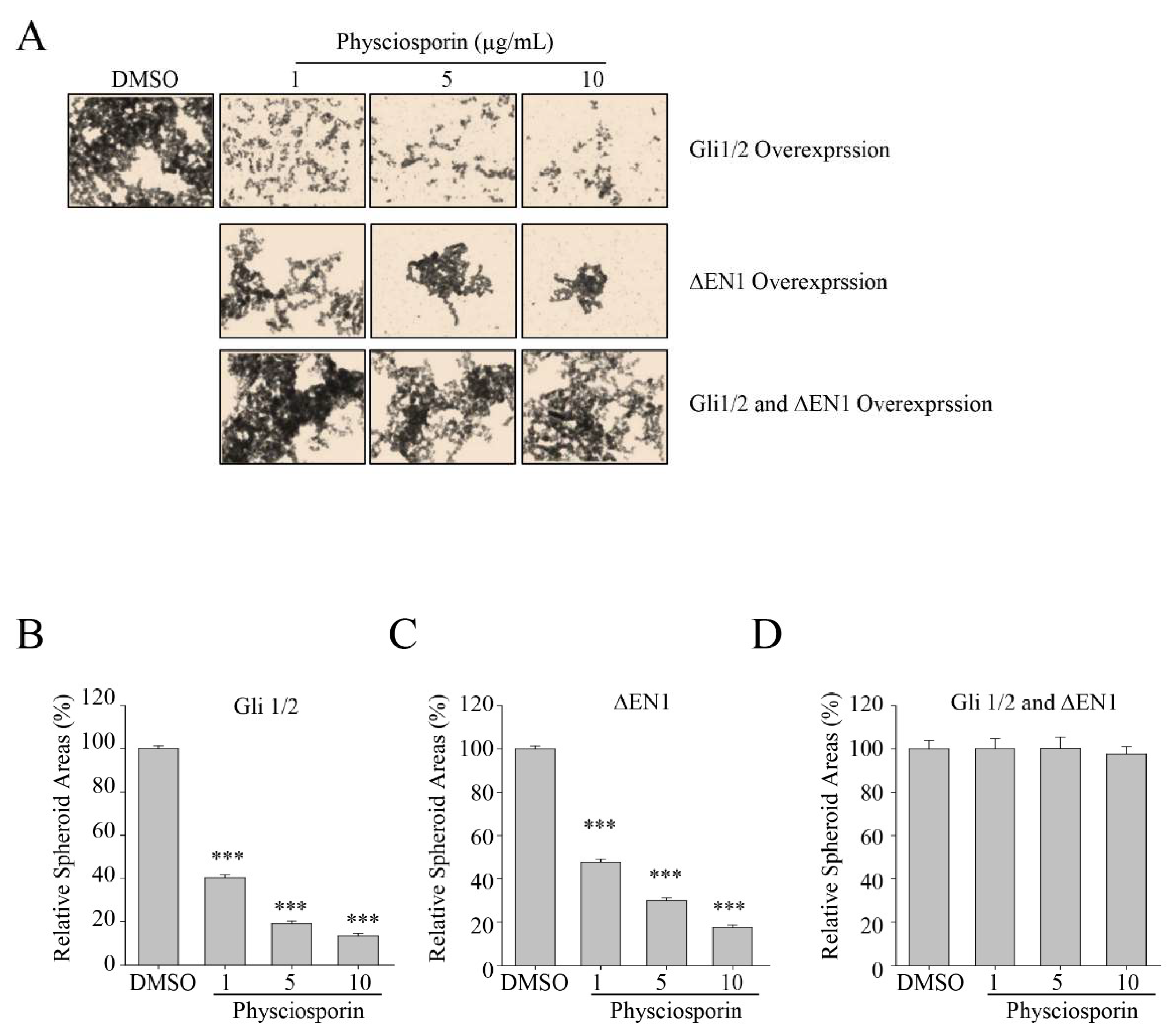 Biomolecules 09 00797 g005