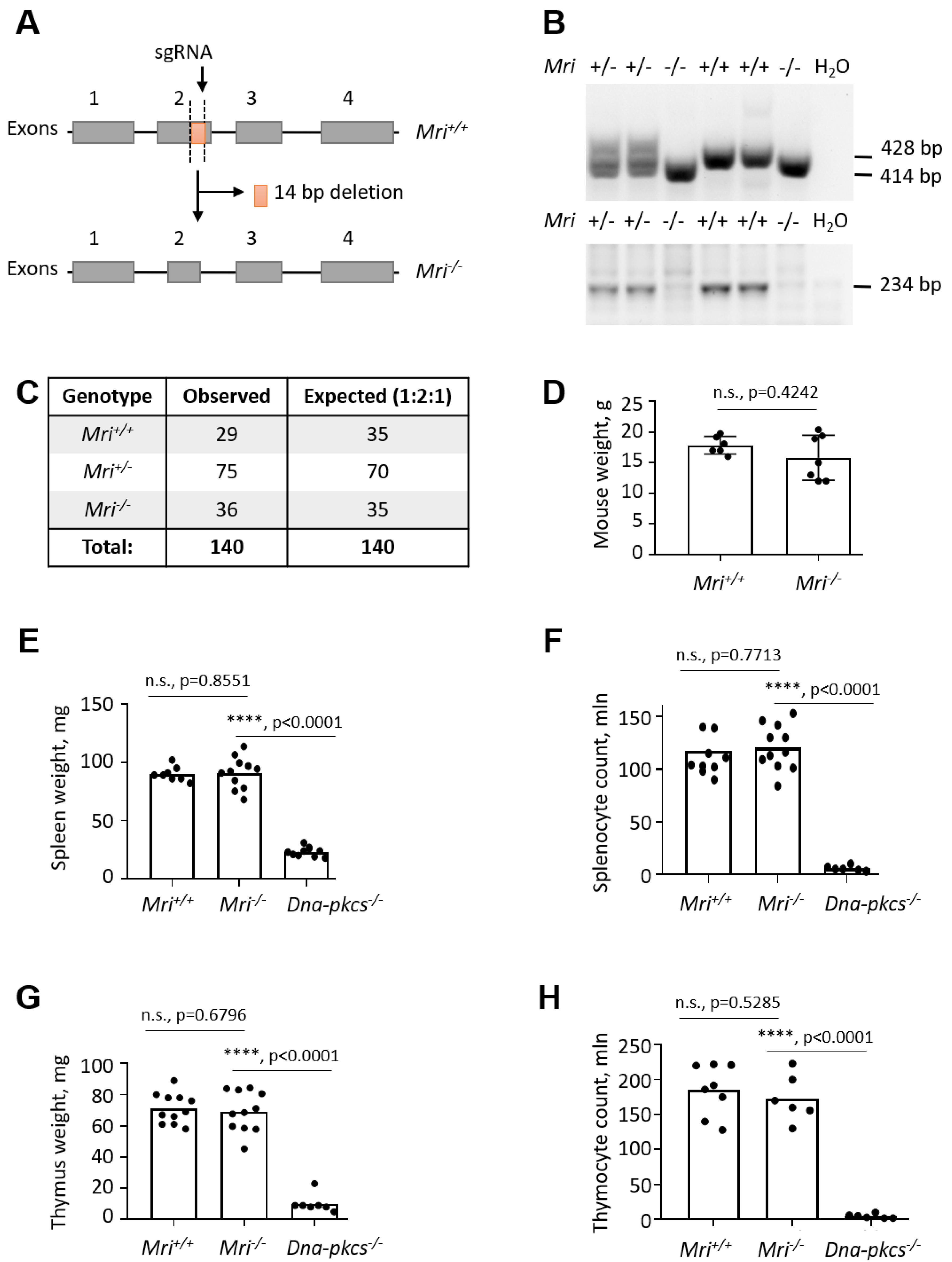 Biomolecules 09 00798 g001