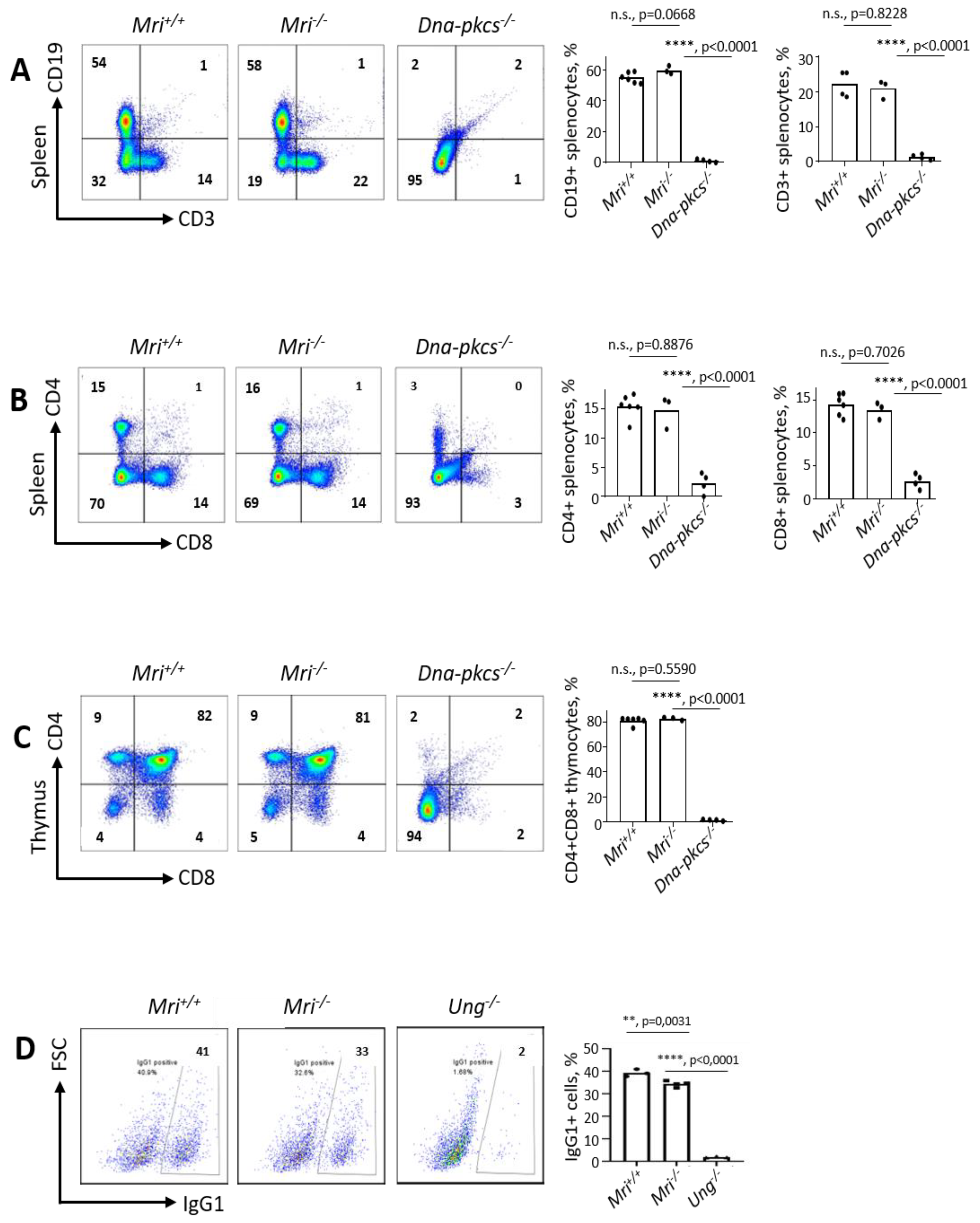 Biomolecules 09 00798 g002